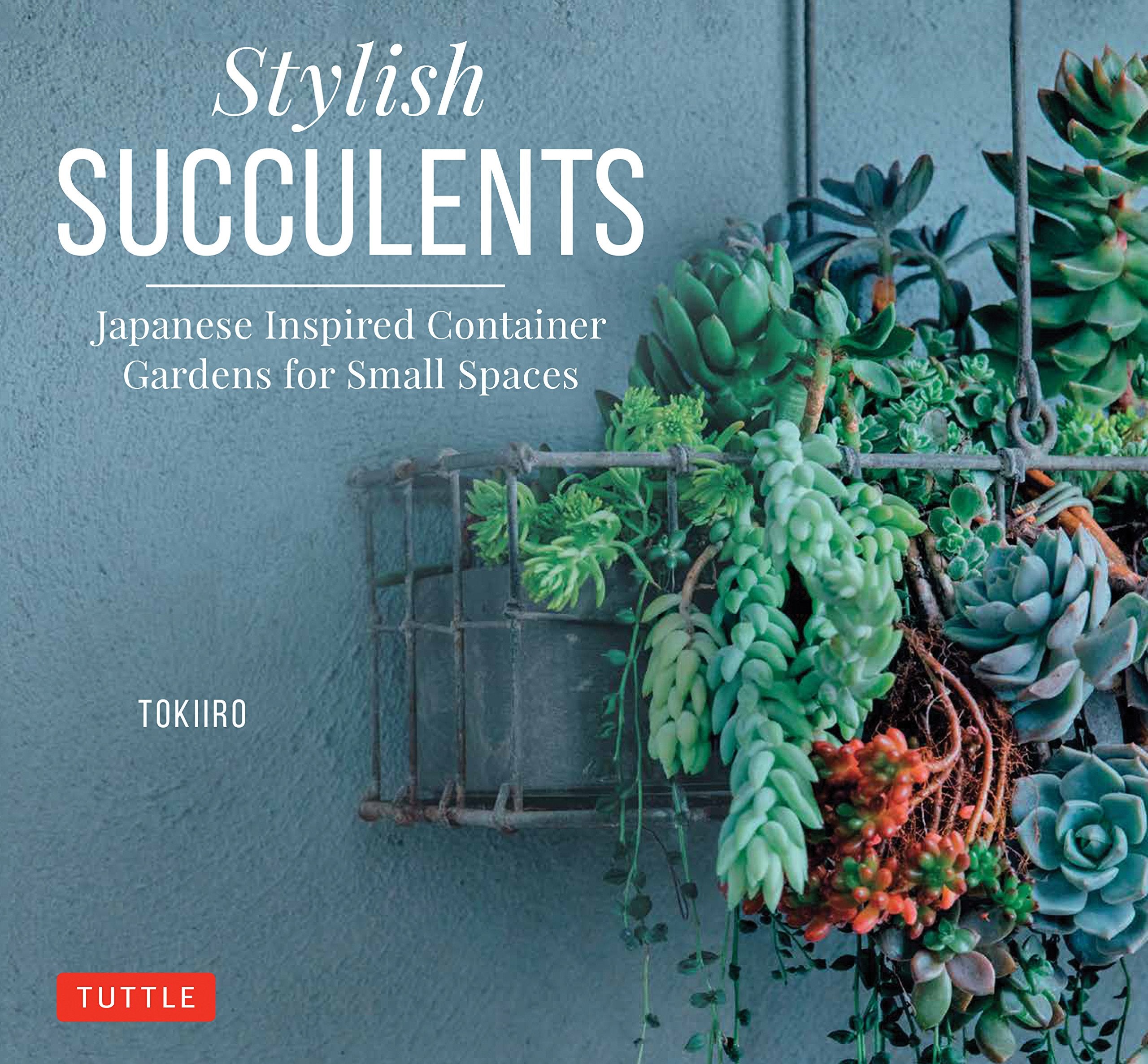 Stylish Succulents: Japanese Inspired Container Gardens For Small Spaces,Used
