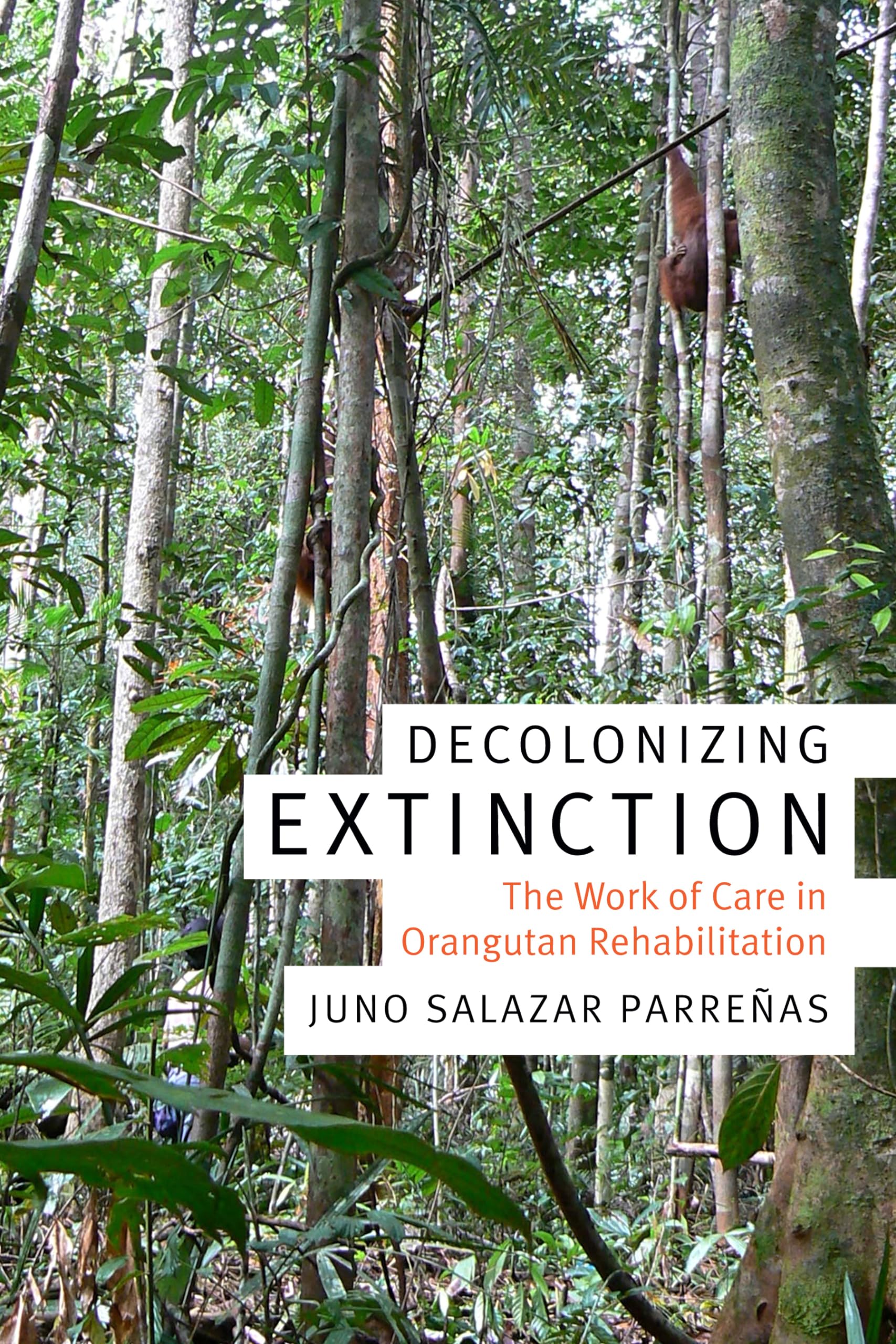 Decolonizing Extinction: The Work Of Care In Orangutan Rehabilitation (Experimental Futures),Used