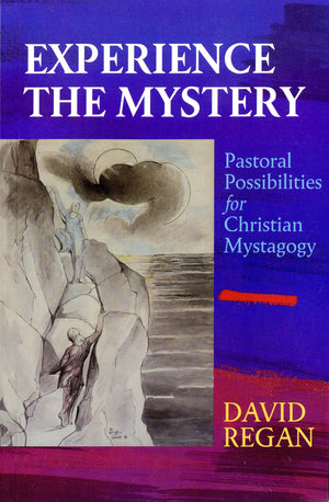 Experience The Mystery: Pastoral Possibilities For Christian Mystagogy,Used