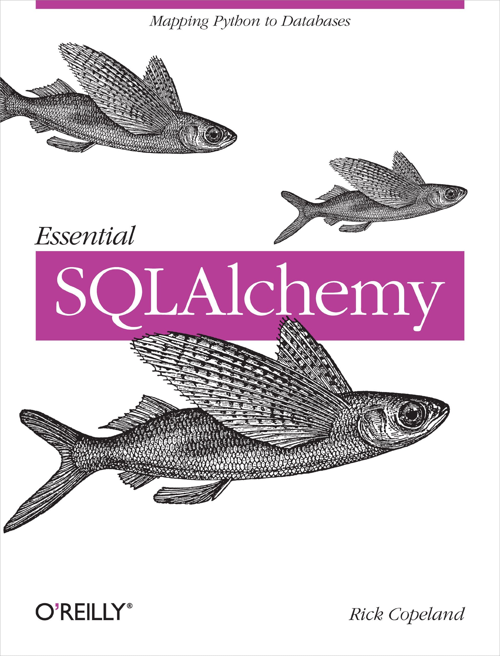 Essential SQLAlchemy,Used