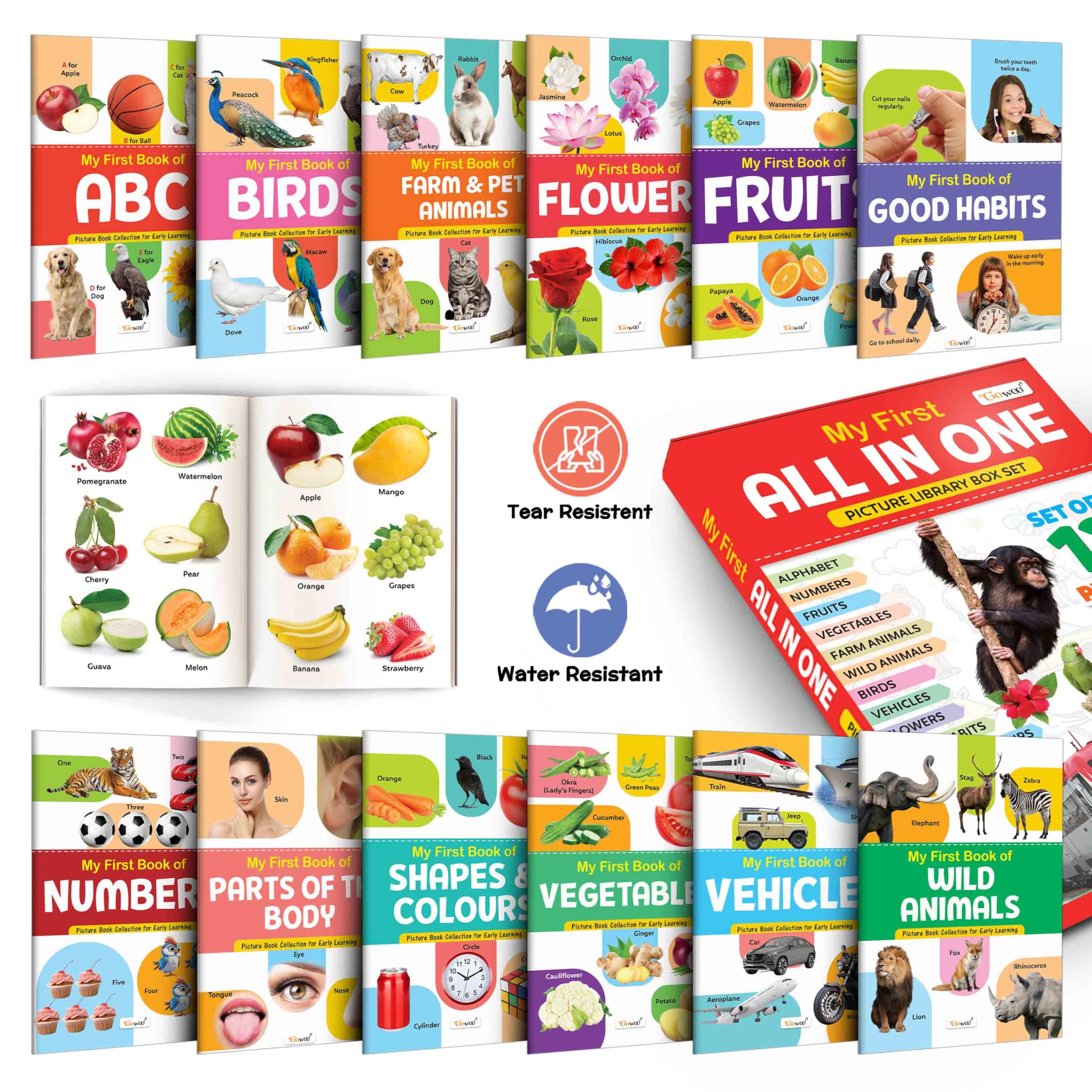 Lkg Class Picture Book Box Set (Red Edition) : Books For Children, All In One Essential Book, Gift Set For Kids My First All In One Picture Library Box Of 12 Books