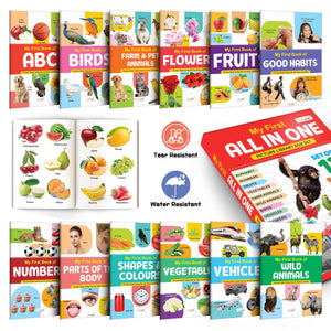 Lkg Class Picture Book Box Set (Red Edition) : Books For Children, All In One Essential Book, Gift Set For Kids My First All In One Picture Library Box Of 12 Books