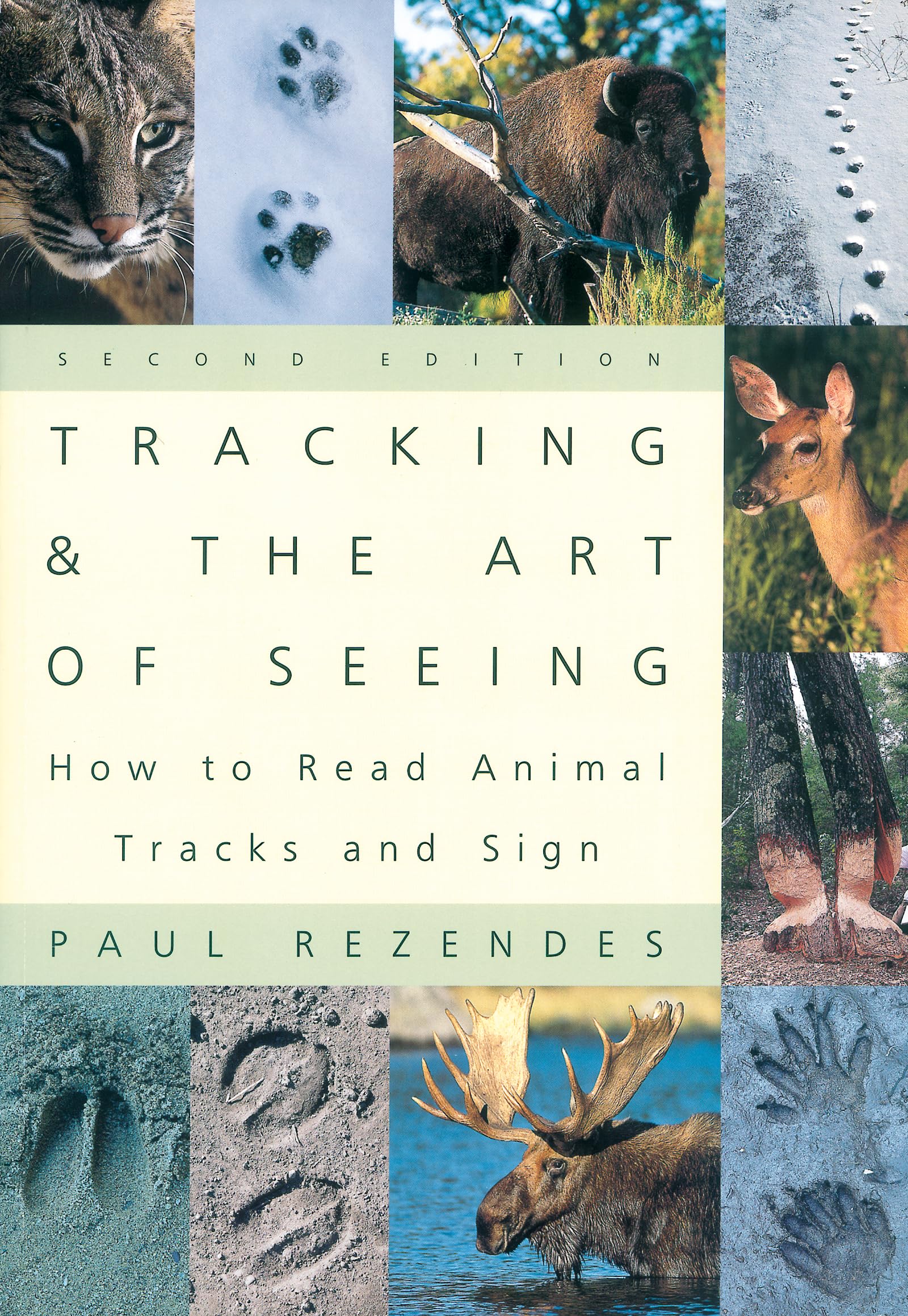 Tracking And The Art Of Seeing: How To Read Animal Tracks And Sign
