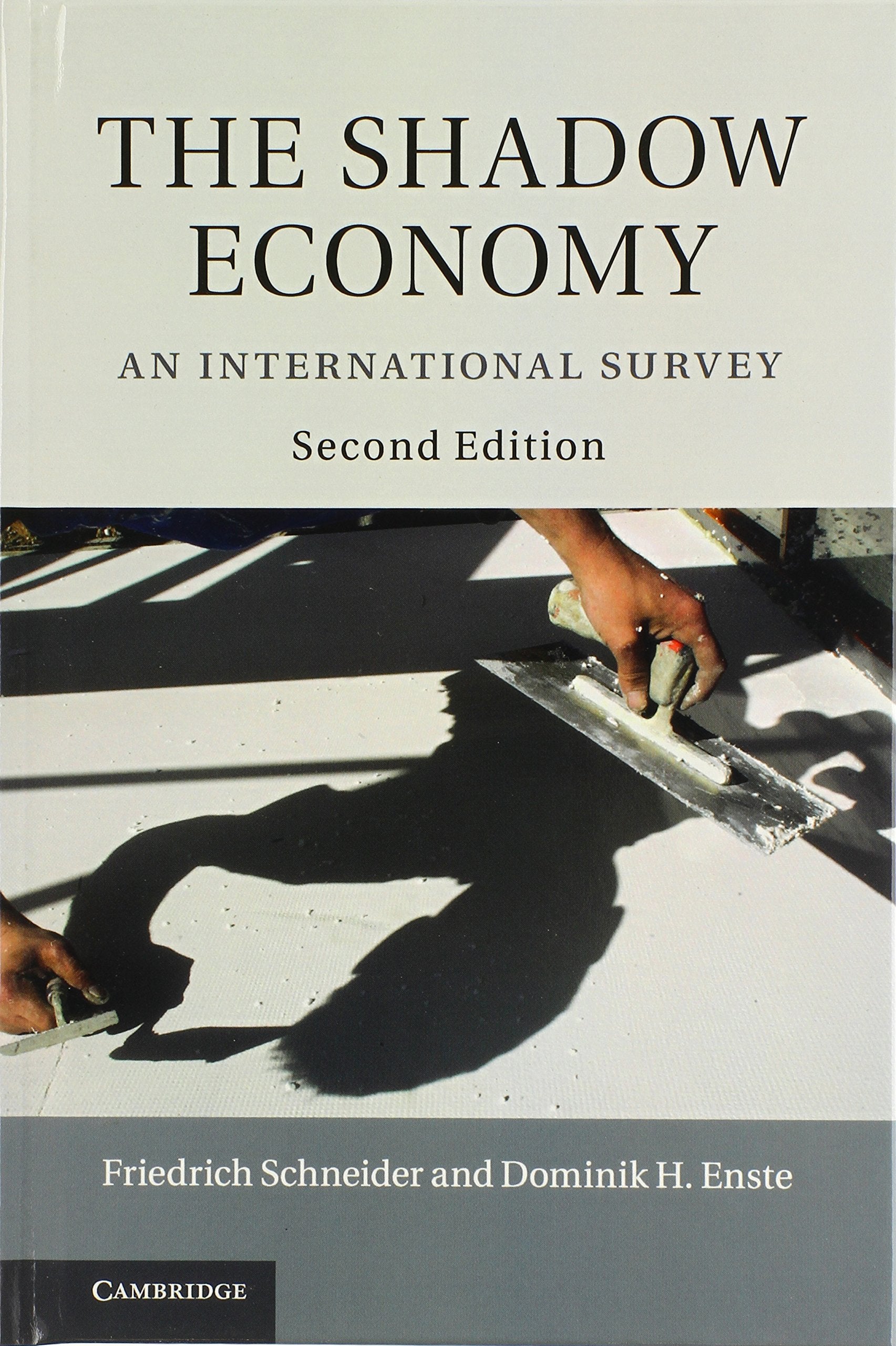 The Shadow Economy: An International Survey,Used