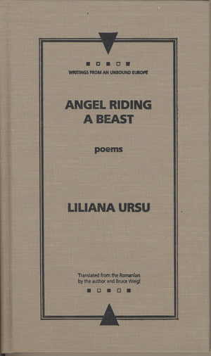 Angel Riding A Beast (Writings From An Unbound Europe),New
