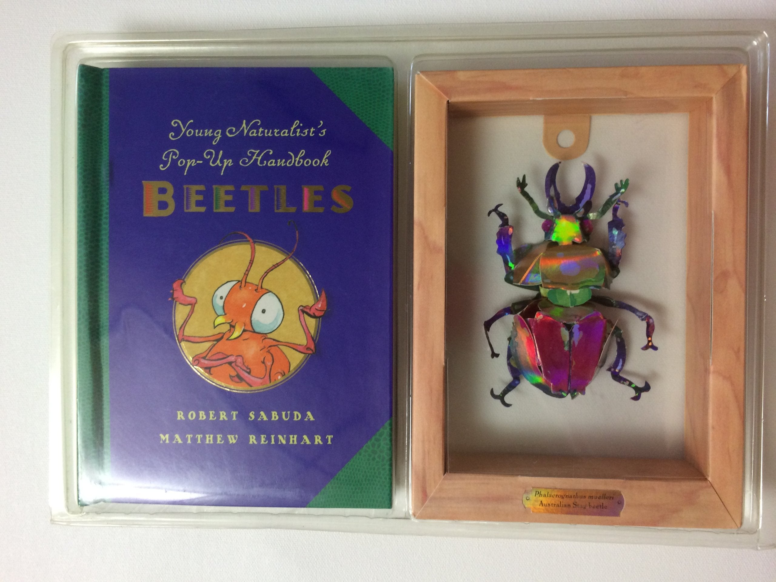 Young Naturalist's PopUp Handbook: Beetles  Book #1 (Young Naturalist's Handbook),Used