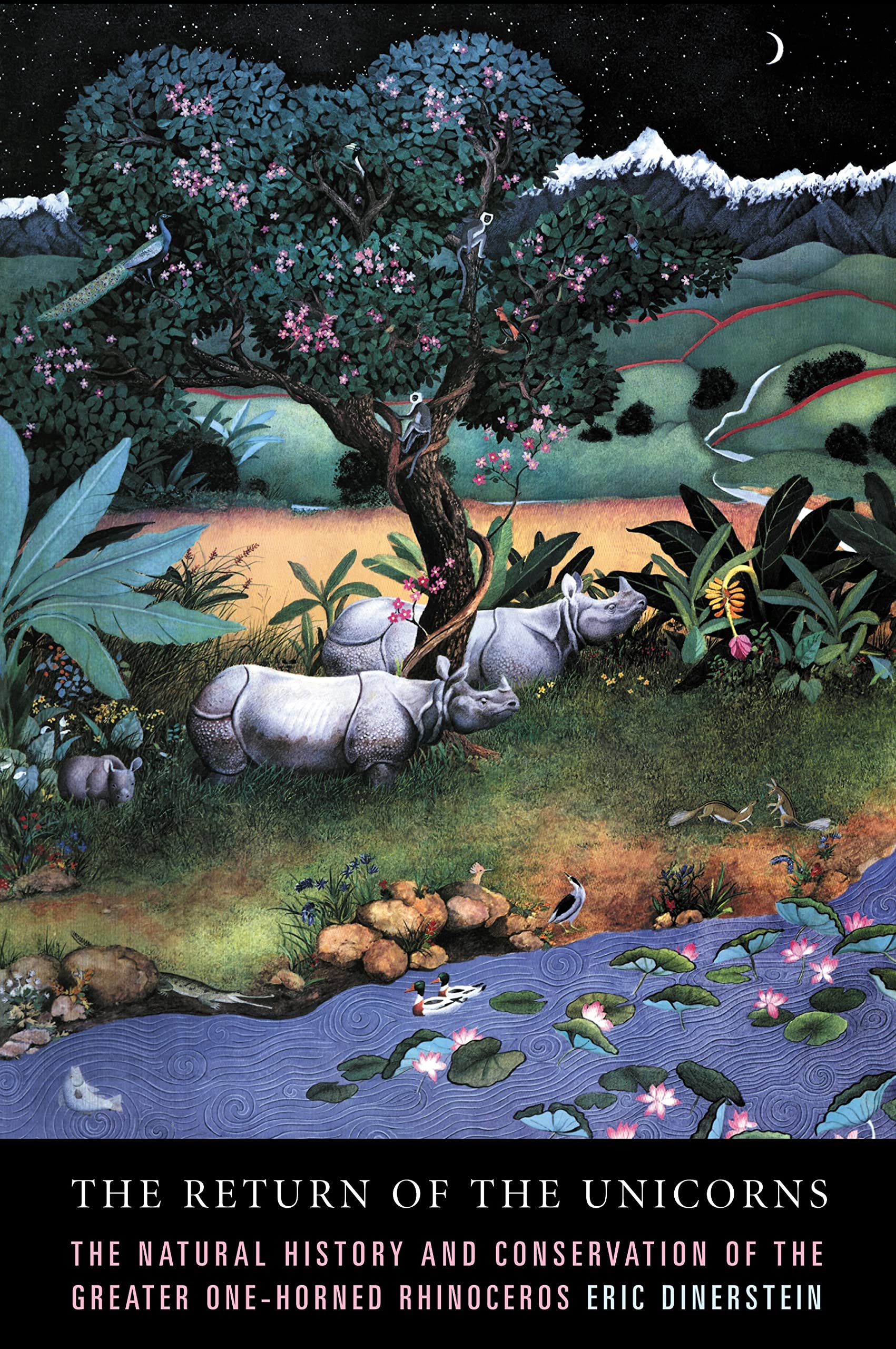 Return of the Unicorns,Used