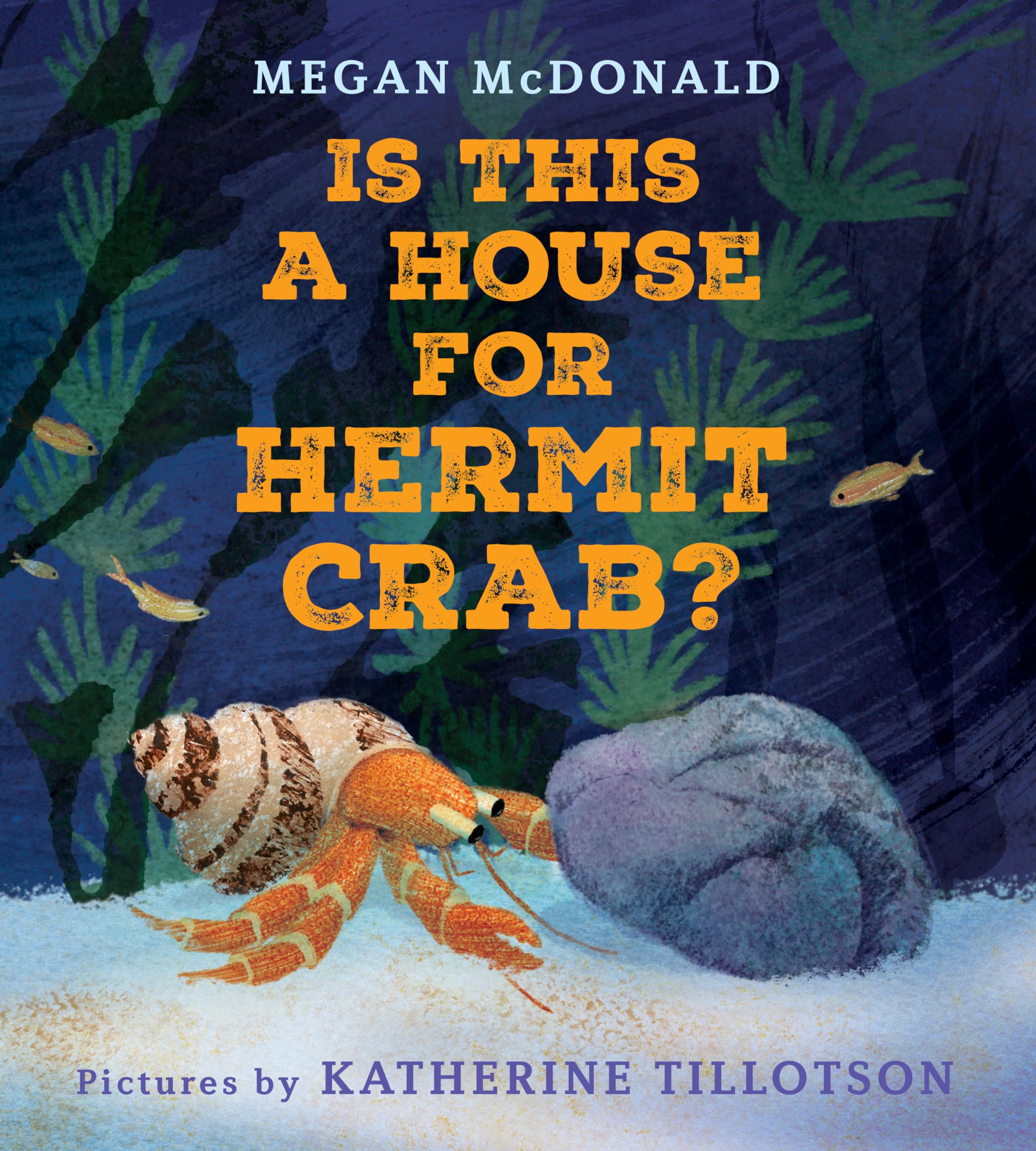 Is This A House For Hermit Crab?,New