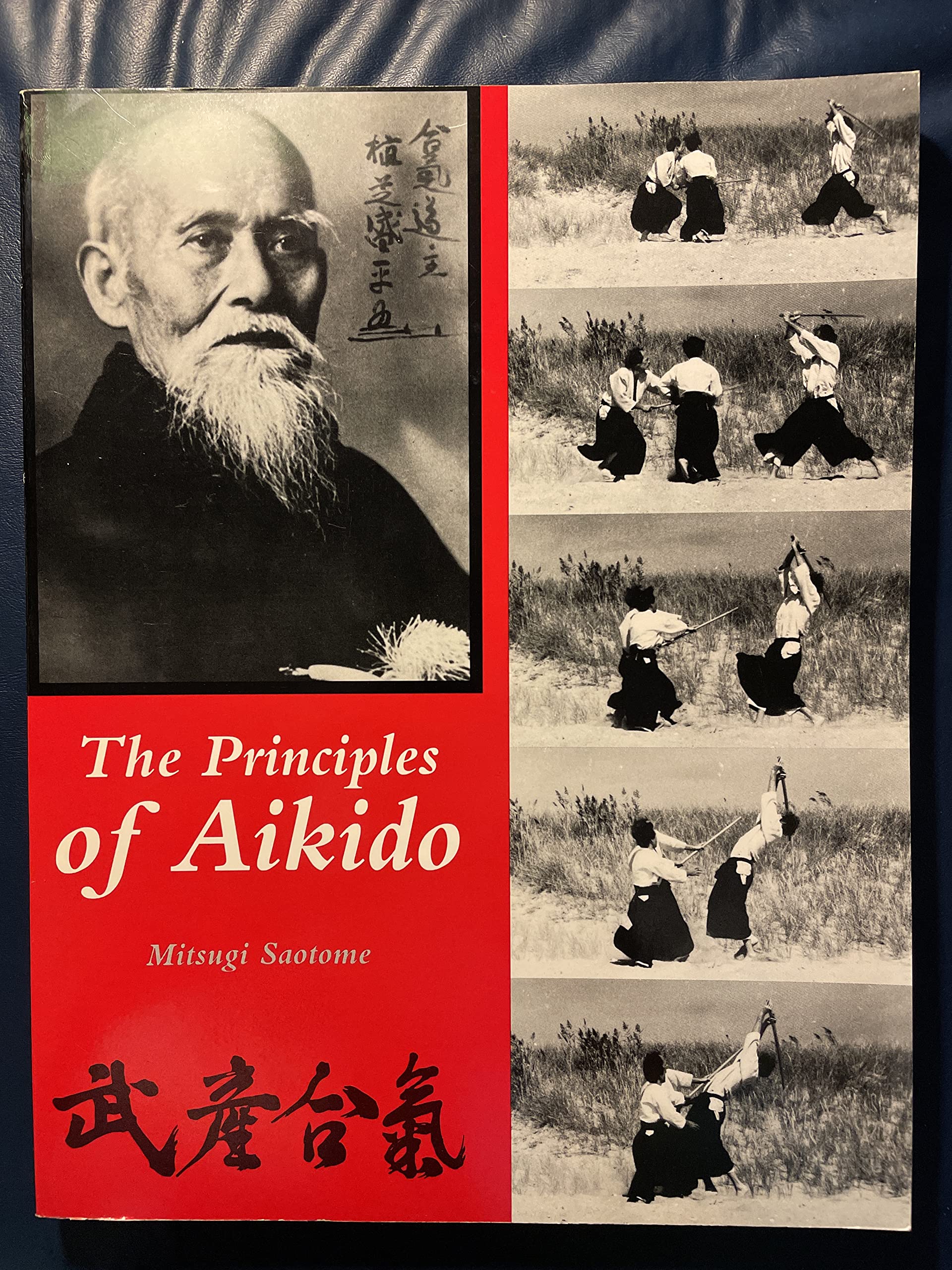 Principles Of Aikido