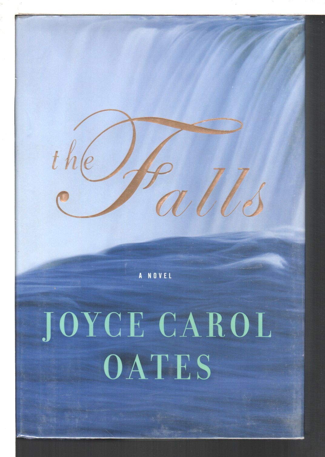 The Falls: A Novel,Used