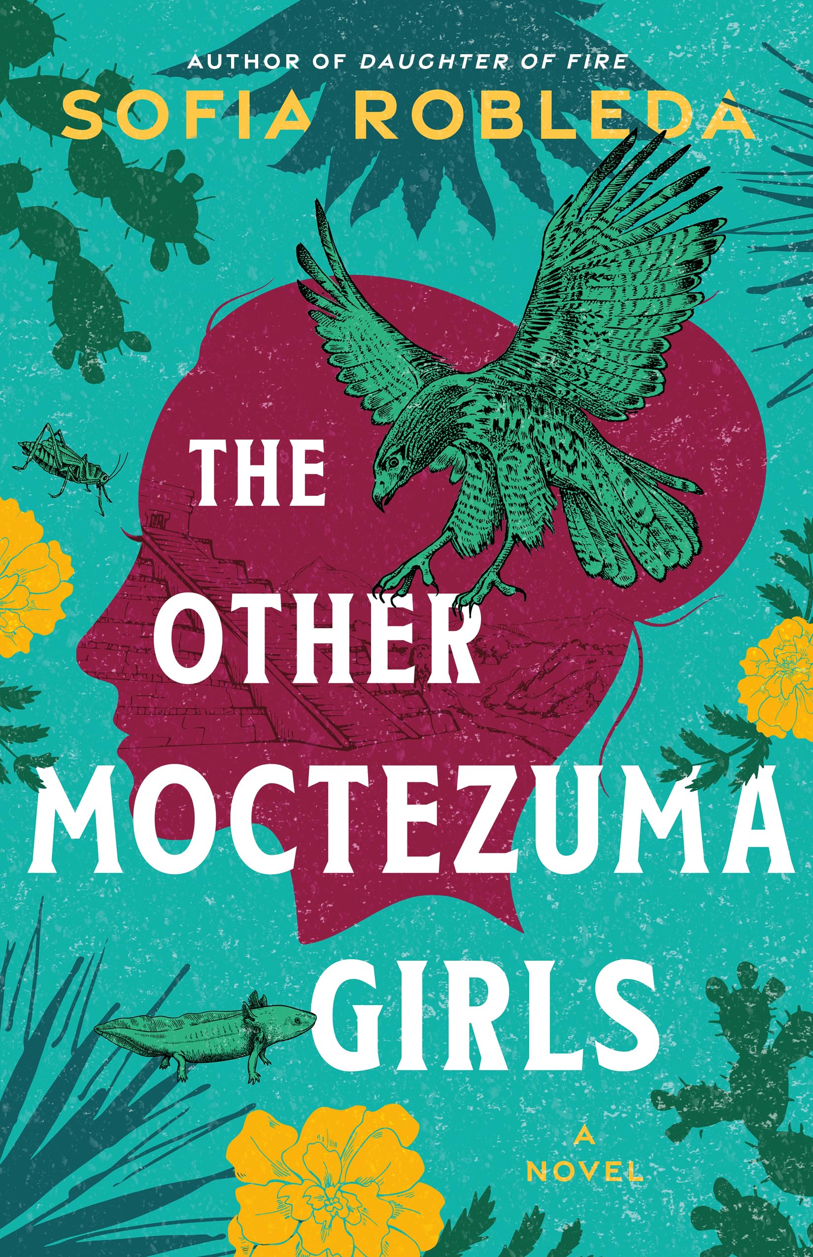 The Other Moctezuma Girls: A Novel