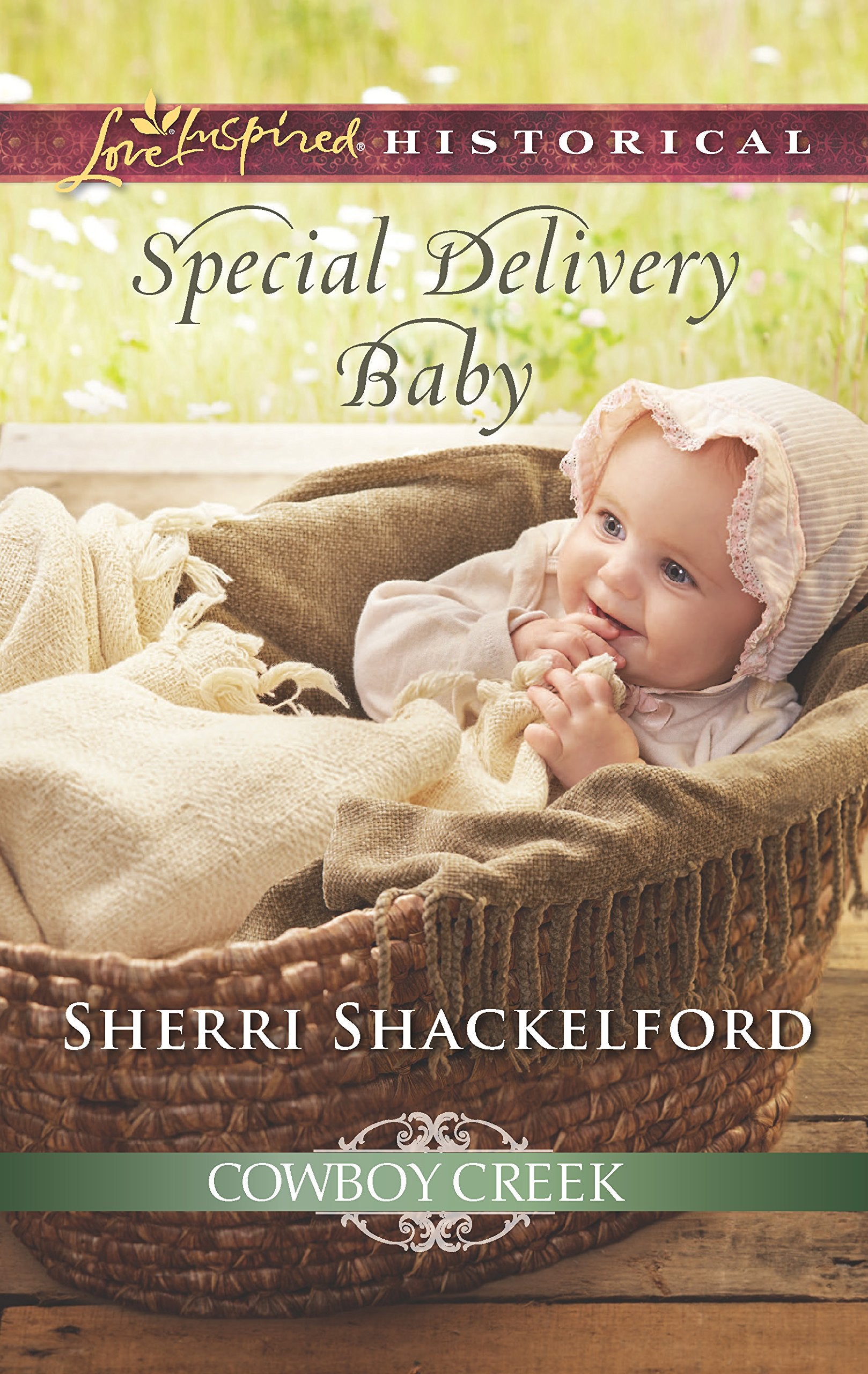 Special Delivery Baby (Cowboy Creek),Used