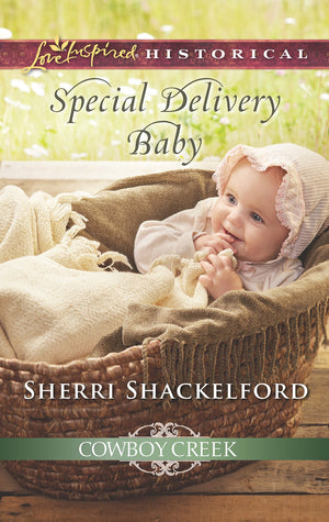 Special Delivery Baby (Cowboy Creek),Used