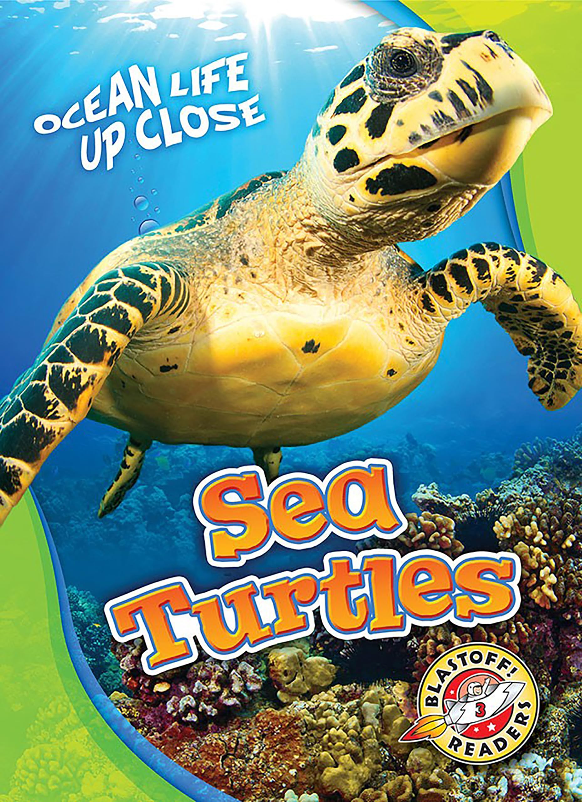 Sea Turtles (Ocean Life Up Close),Used
