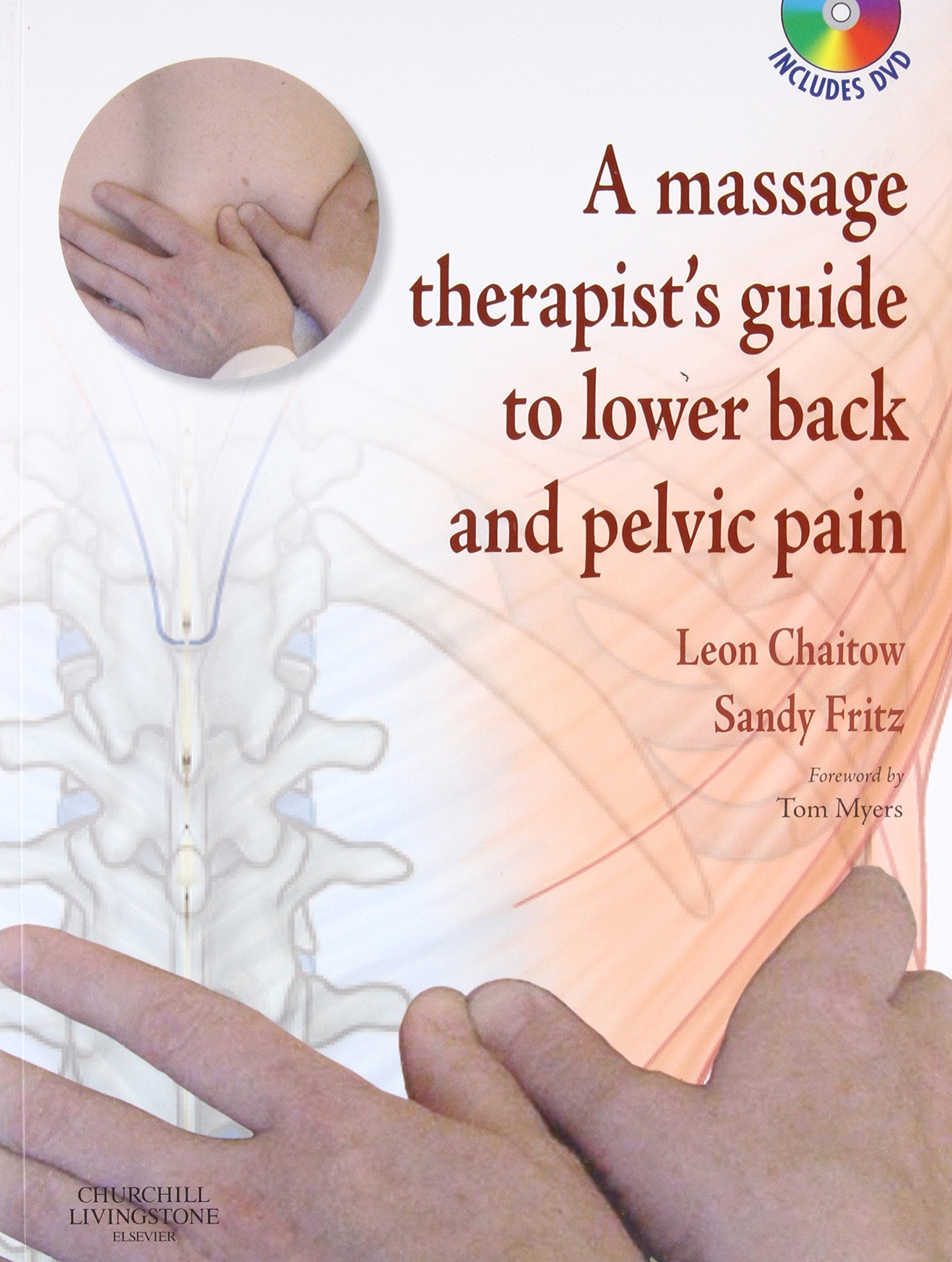 A Massage Therapist's Guide to Lower Back & Pelvic Pain,Used