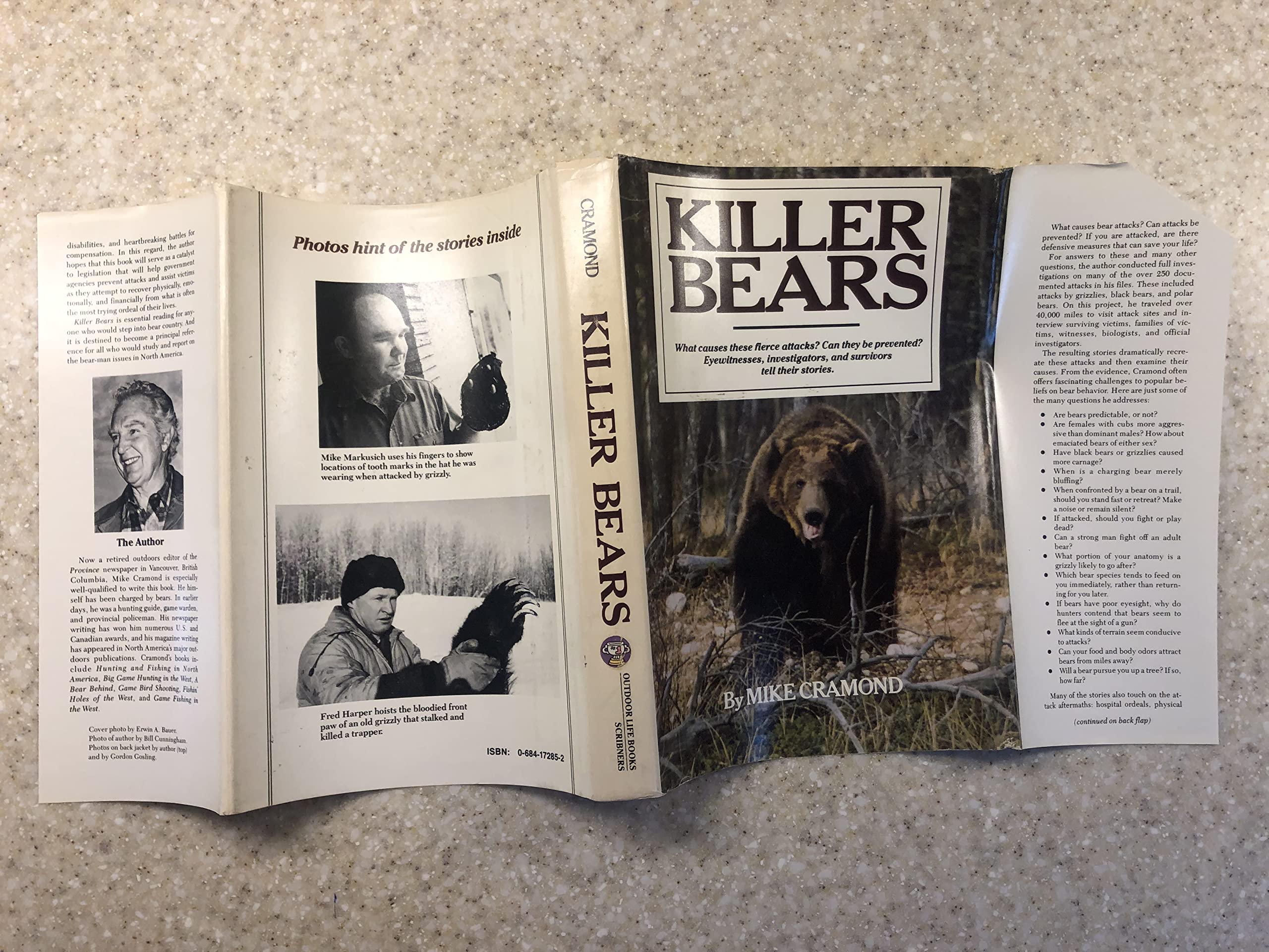Killer Bears