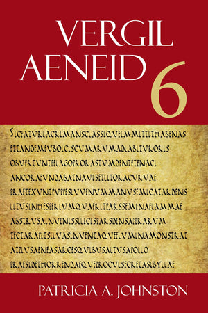 Aeneid 6 (The Focus Vergil Aeneid Commentaries) (Latin And English Edition),Used