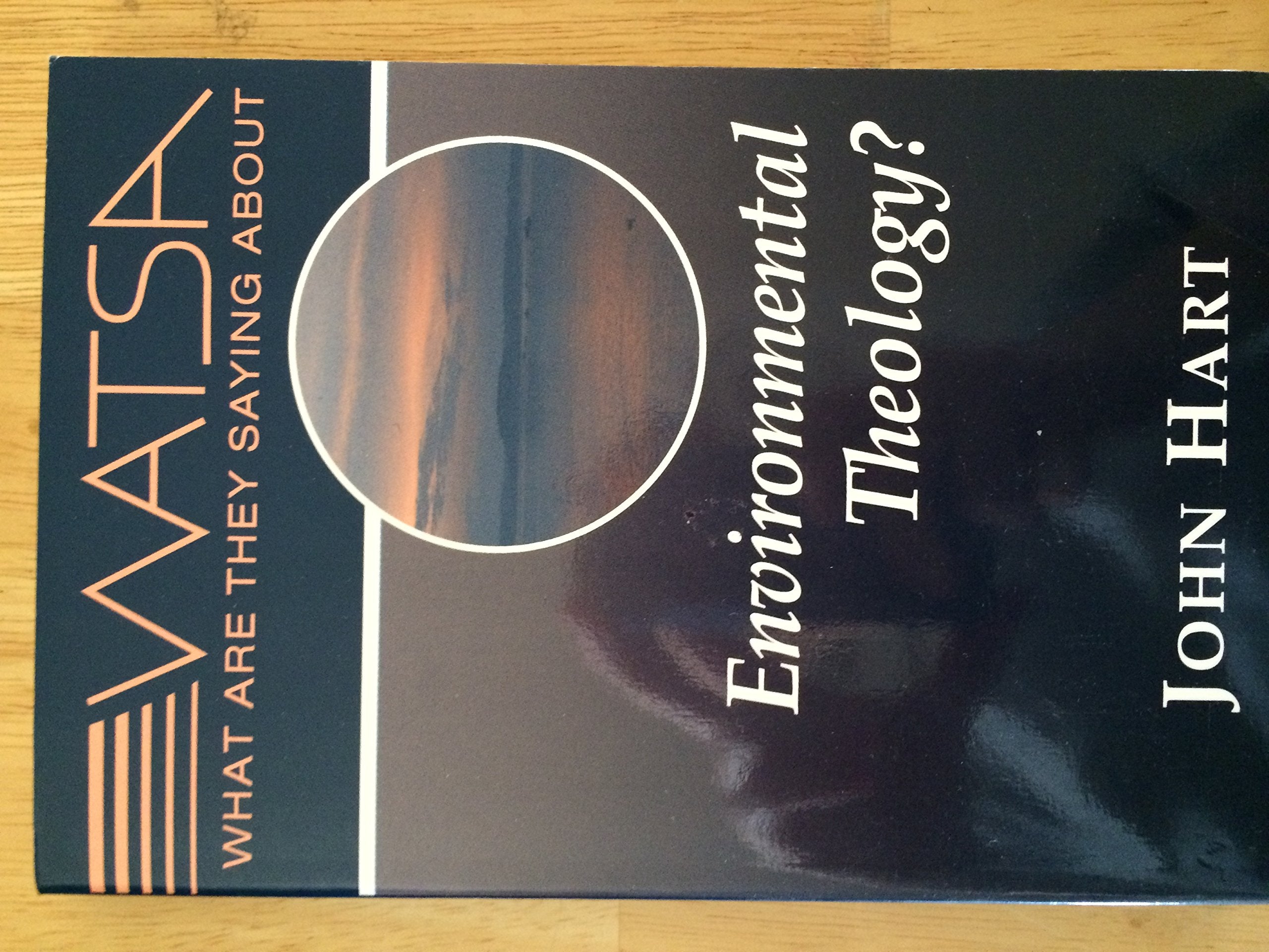 What Are They Saying about Environmental Theology?,Used