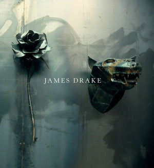 James Drake (M. Georgia Hegarty Dunkerley Contemporary Art Series),Used