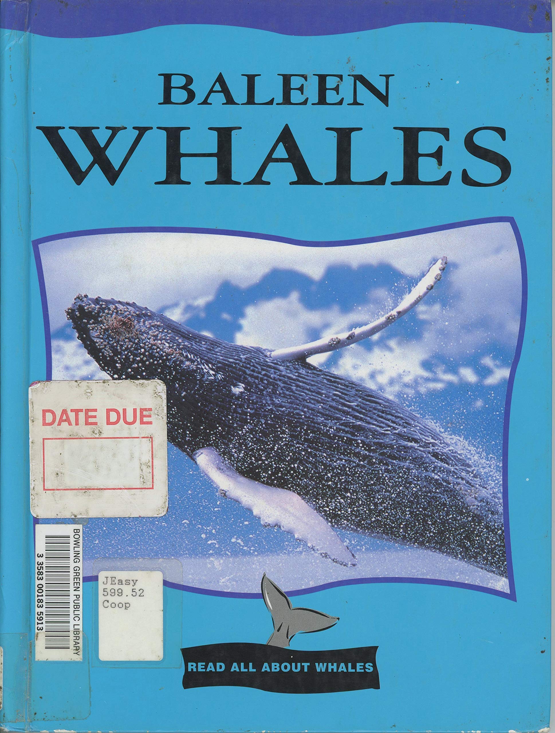 Baleen Whales (Read All About Whales),Used