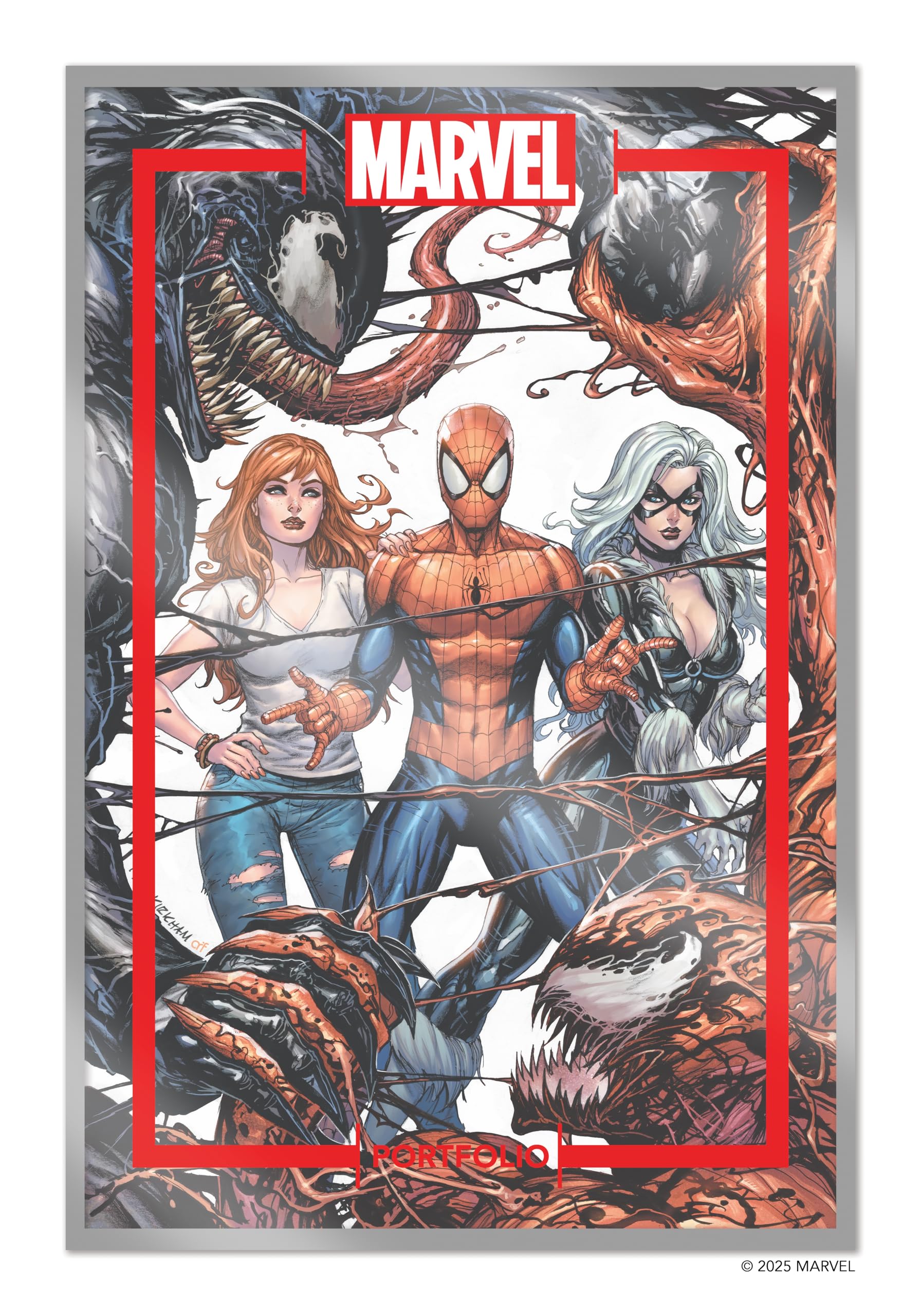 The Marvel Portfolio Of Tyler Kirkham  SpiderMan