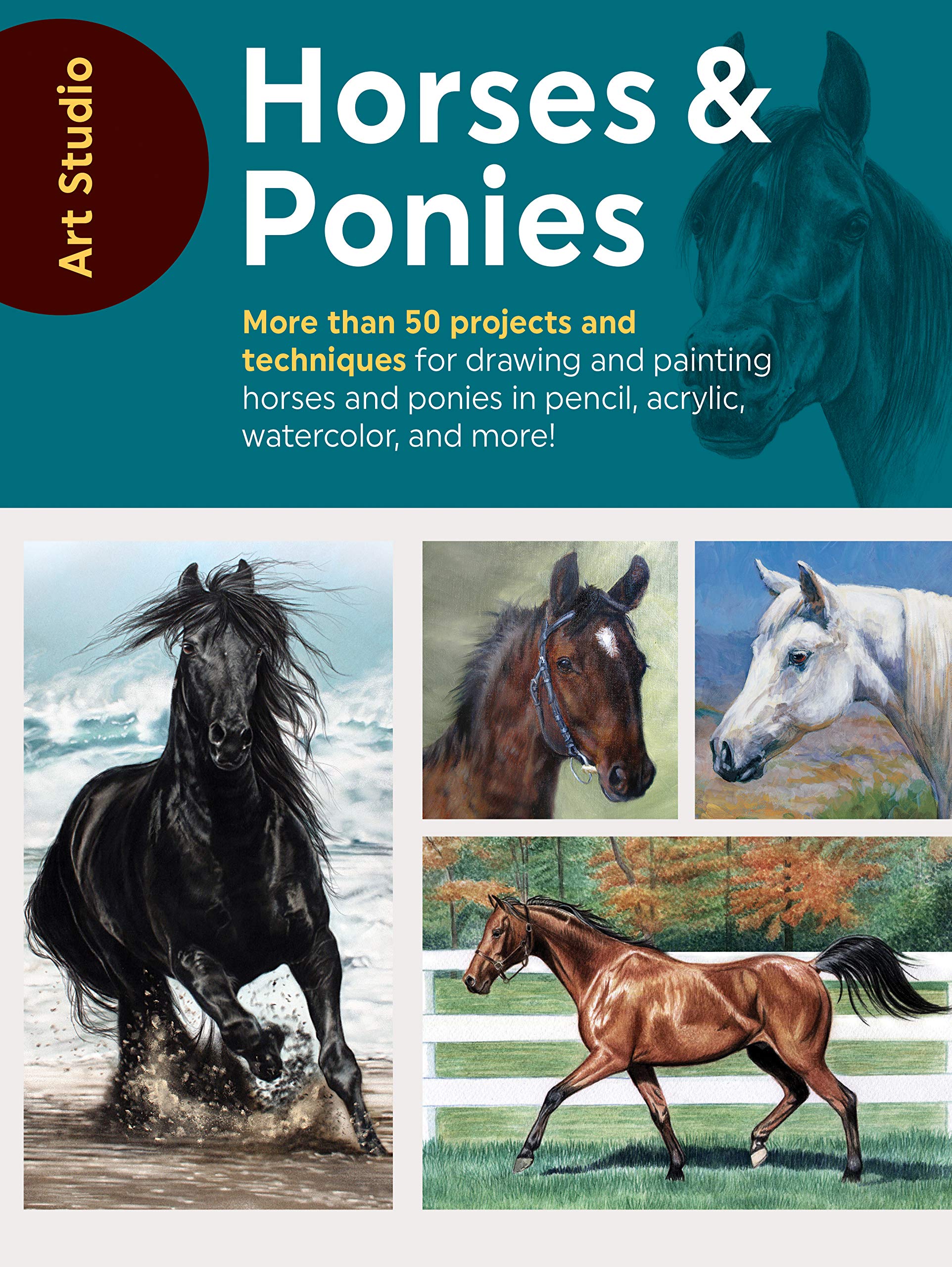 Art Studio: Horses & Ponies: More Than 50 Projects And Techniques For Drawing And Painting Horses And Ponies In Pencil, Acrylic,