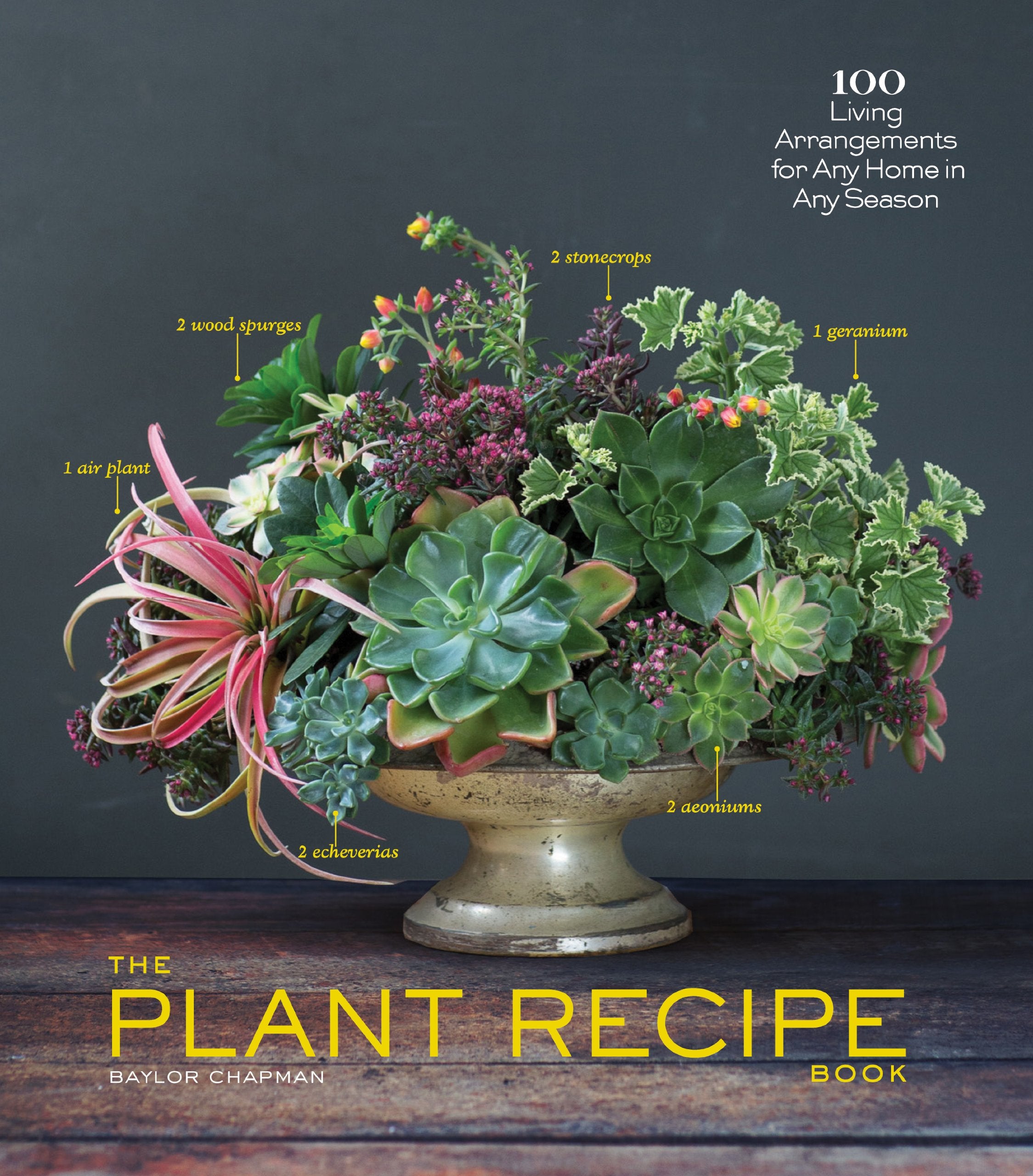 The Plant Recipe Book: 100 Living Arrangements For Any Home In Any Season
