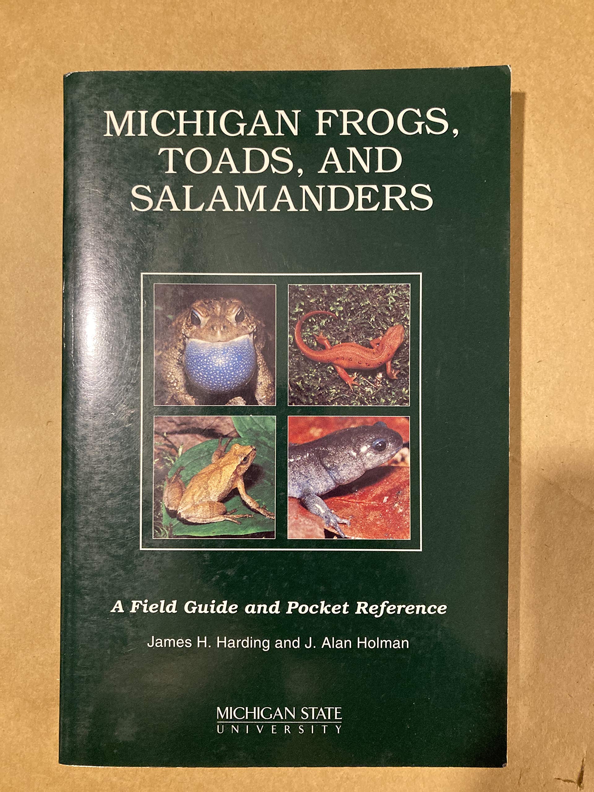 Michigan Frogs, Toads, and Salamanders: A Field Guide and Pocket Reference,Used
