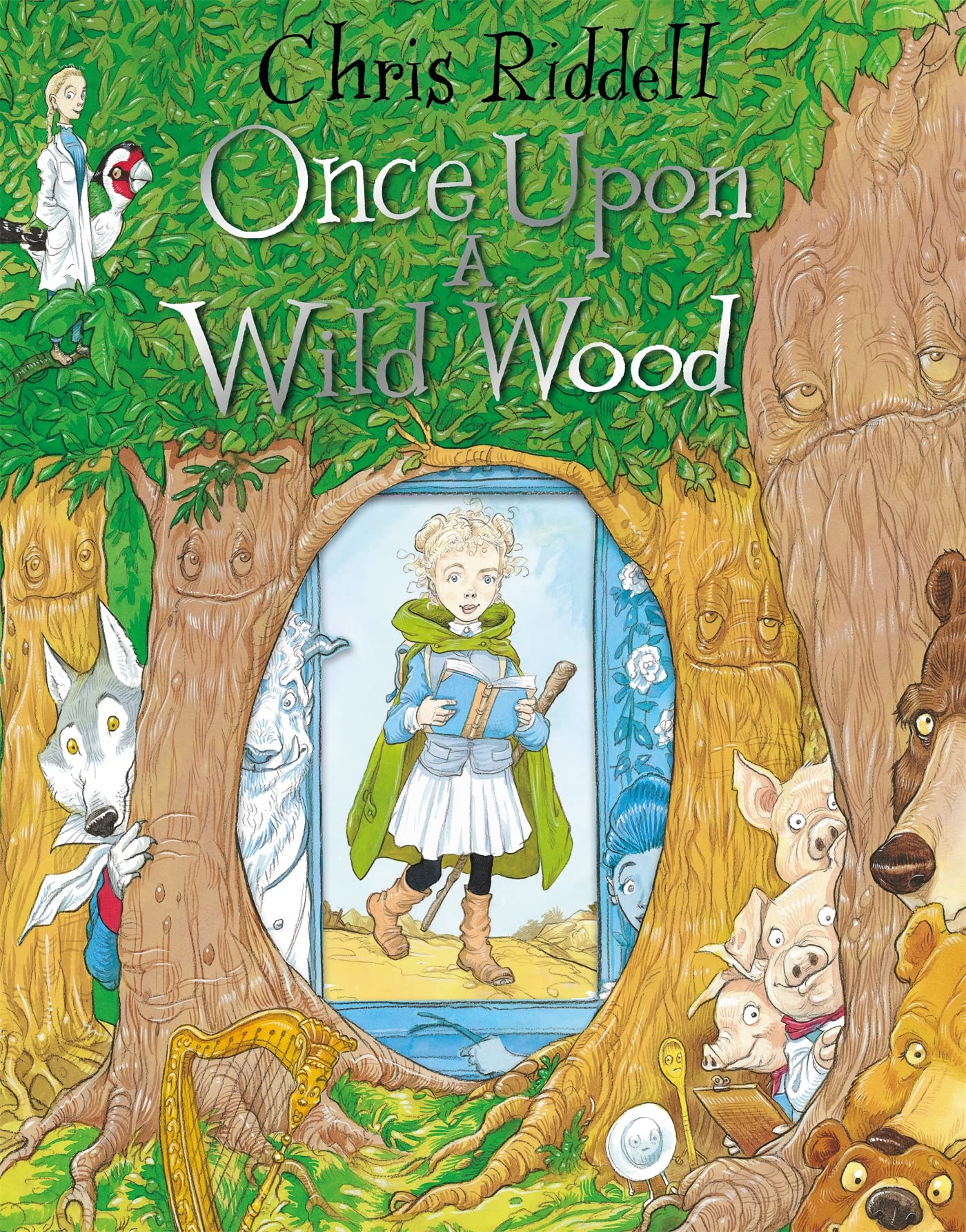 Once Upon A Wild Wood,Used