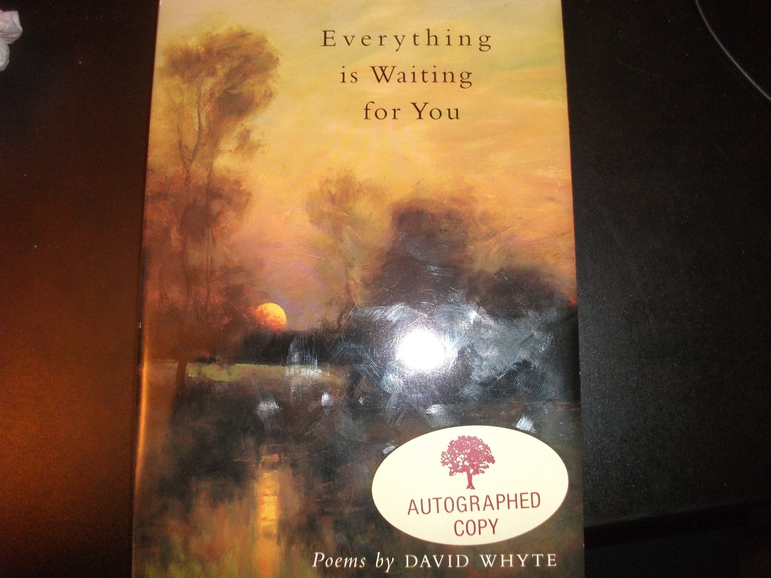 Everything Is Waiting for You,New