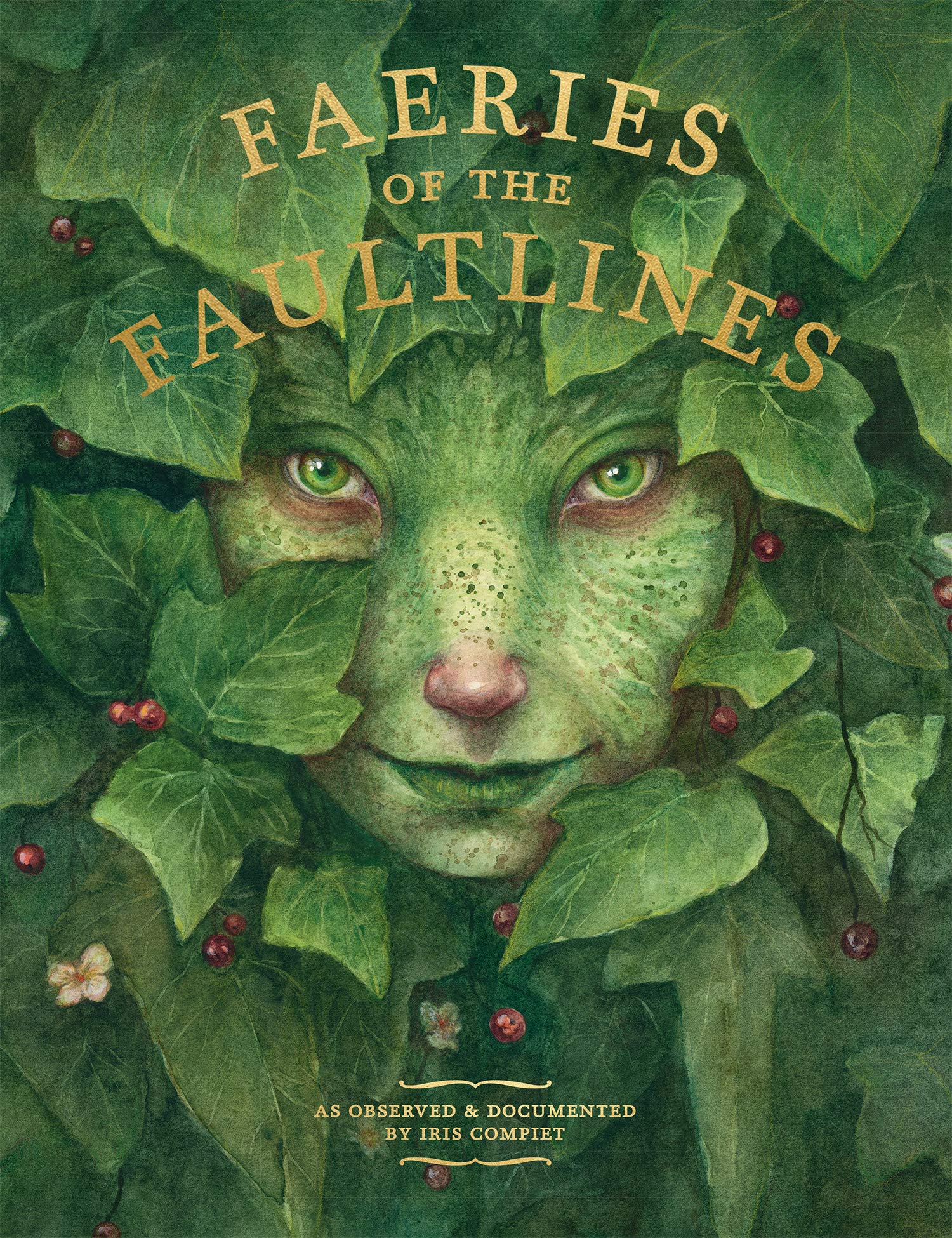 Faeries of the Faultlines: Expanded, Edited Edition,Used