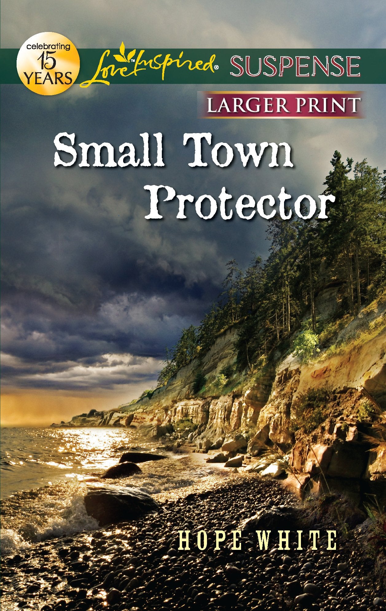 Small Town Protector (Love Inspired Suspense),Used