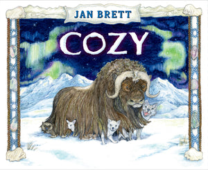 Cozy,Used