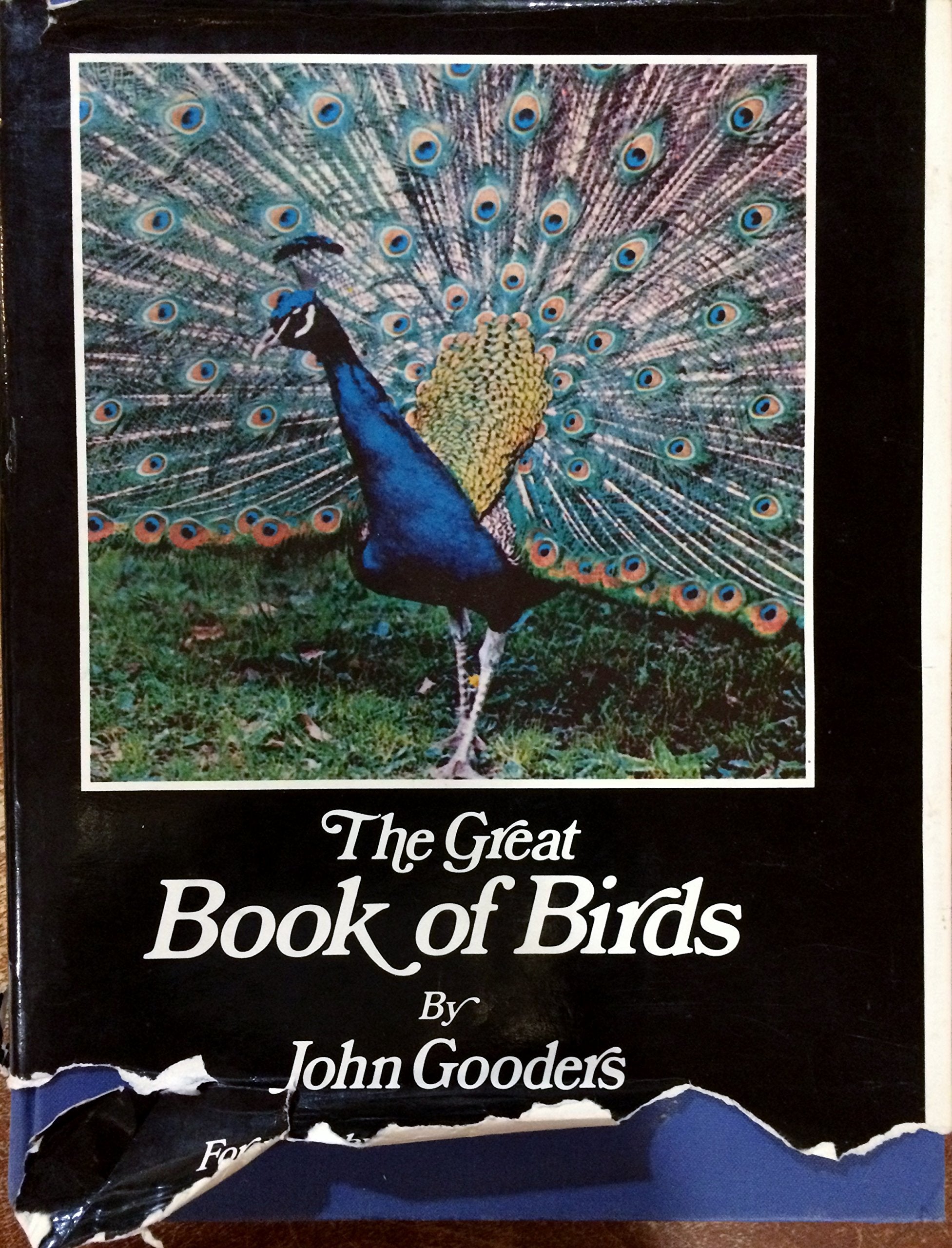 The Great Book of Birds,Used