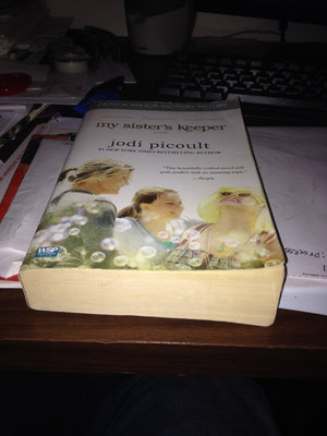 El Viaje / the Journey (Spanish Edition),Used