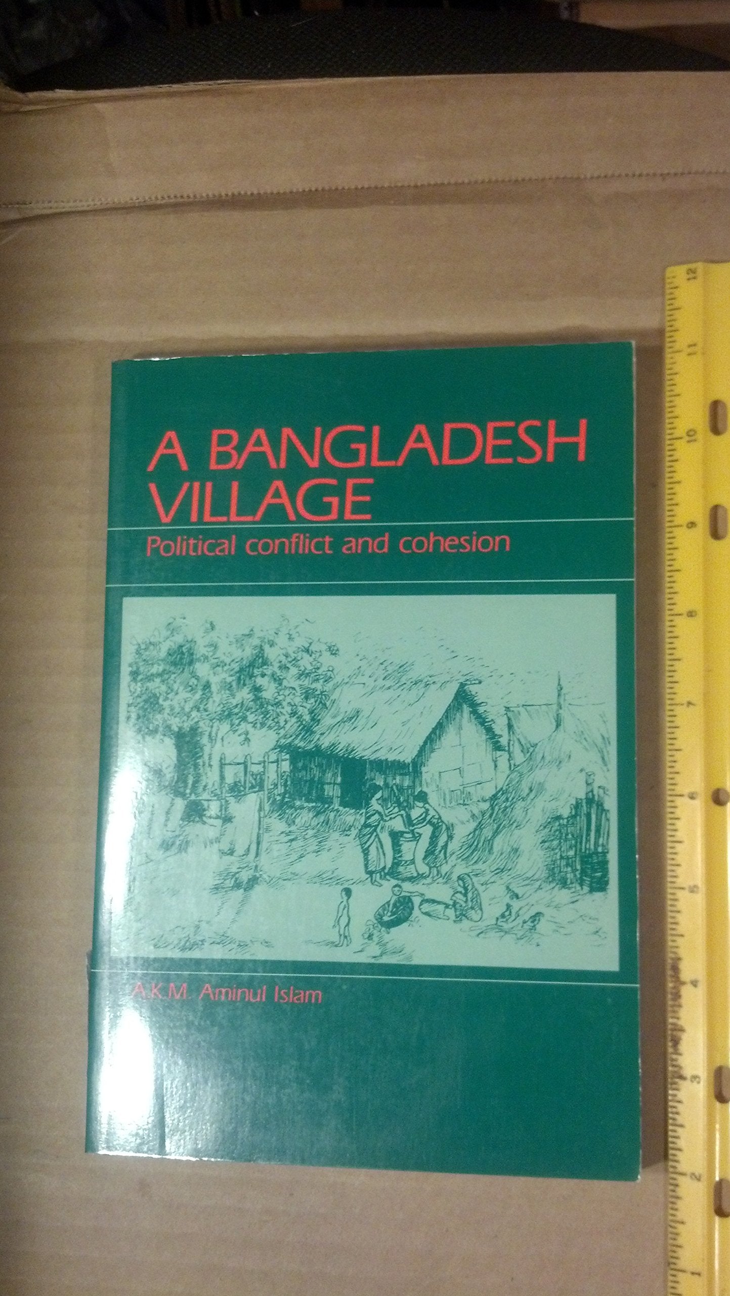 Bangladesh Village: Political Conflict and Cohesion,Used