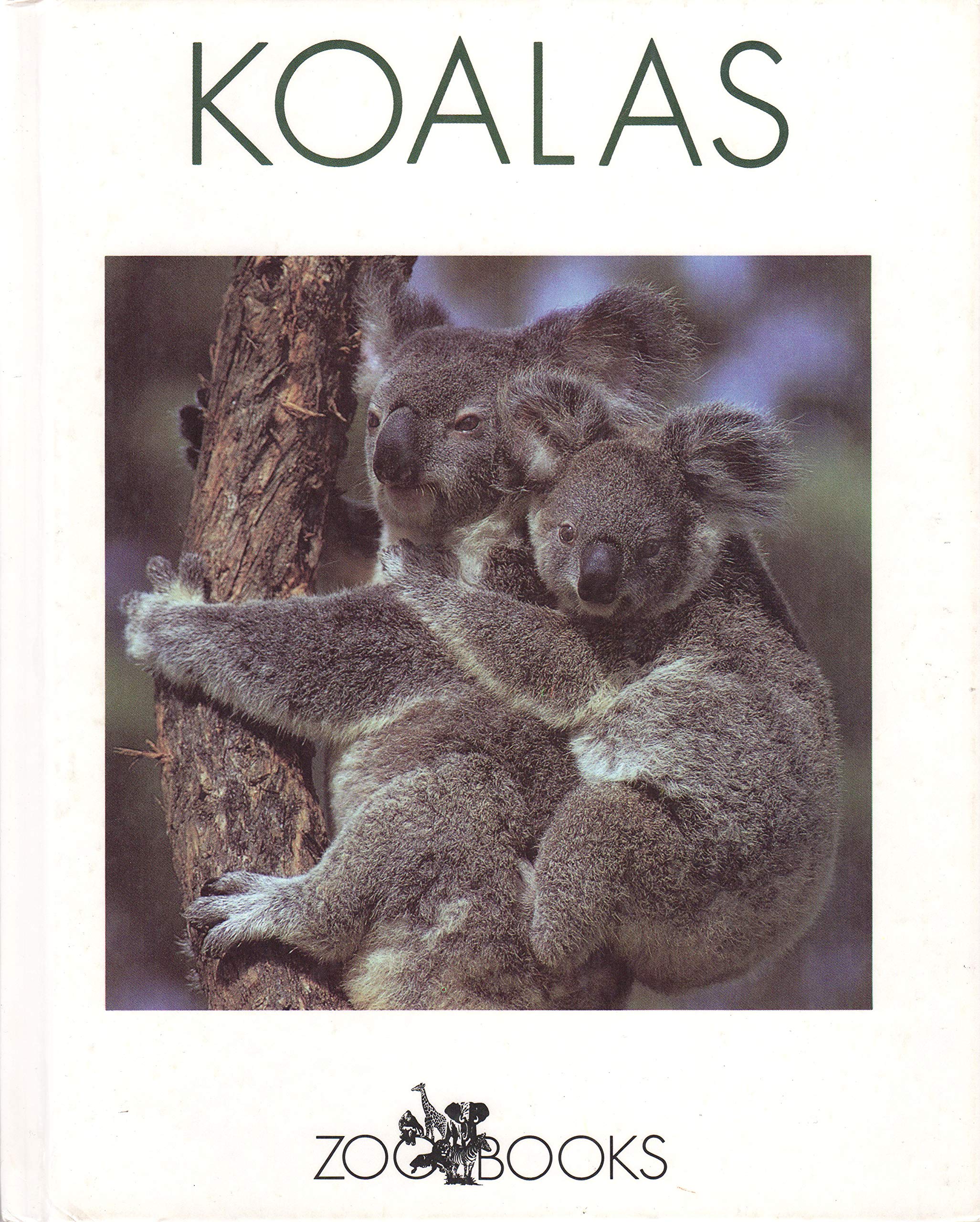 Koalas (Zoo Books),New
