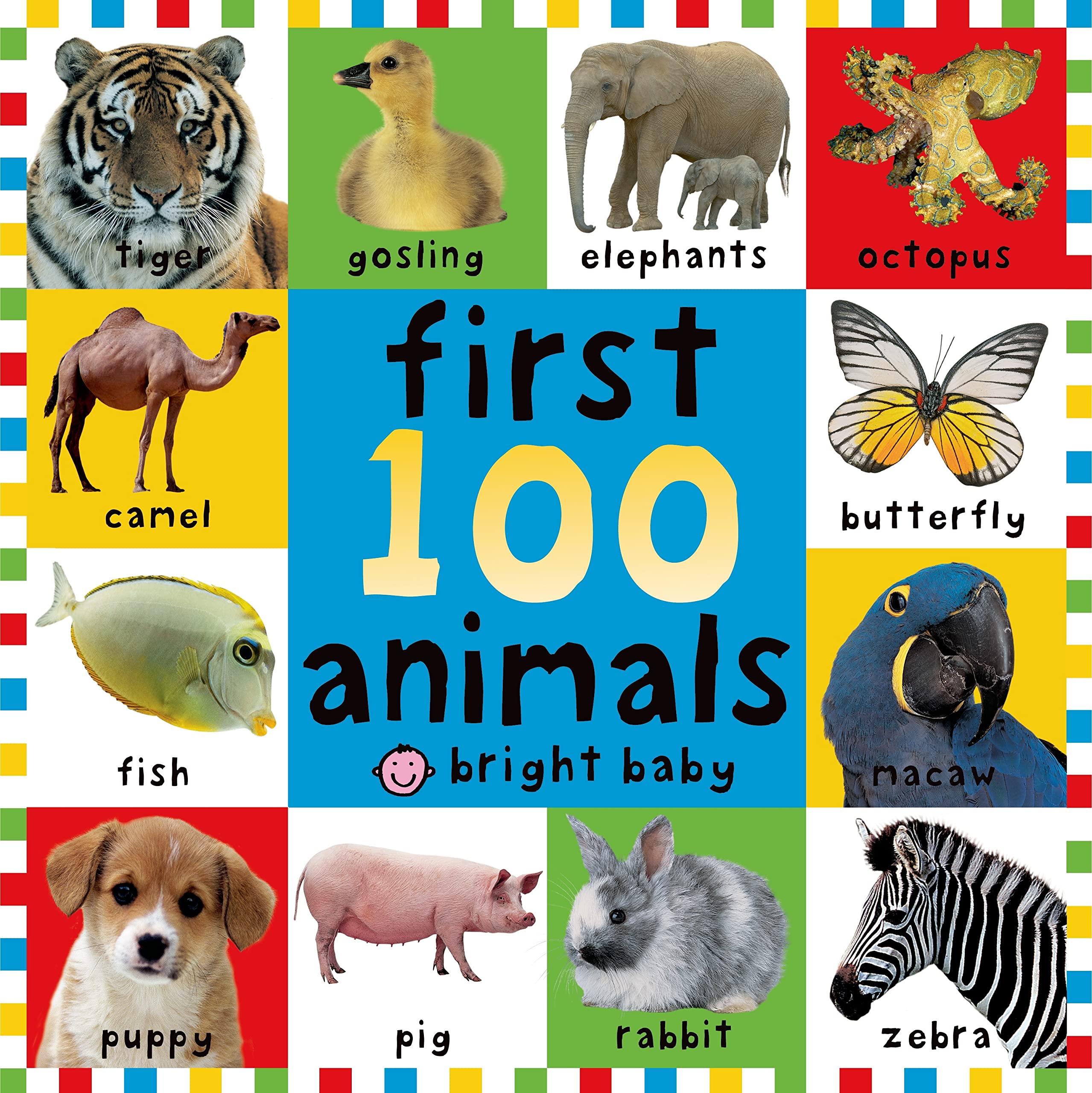 First 100 Animals,Used
