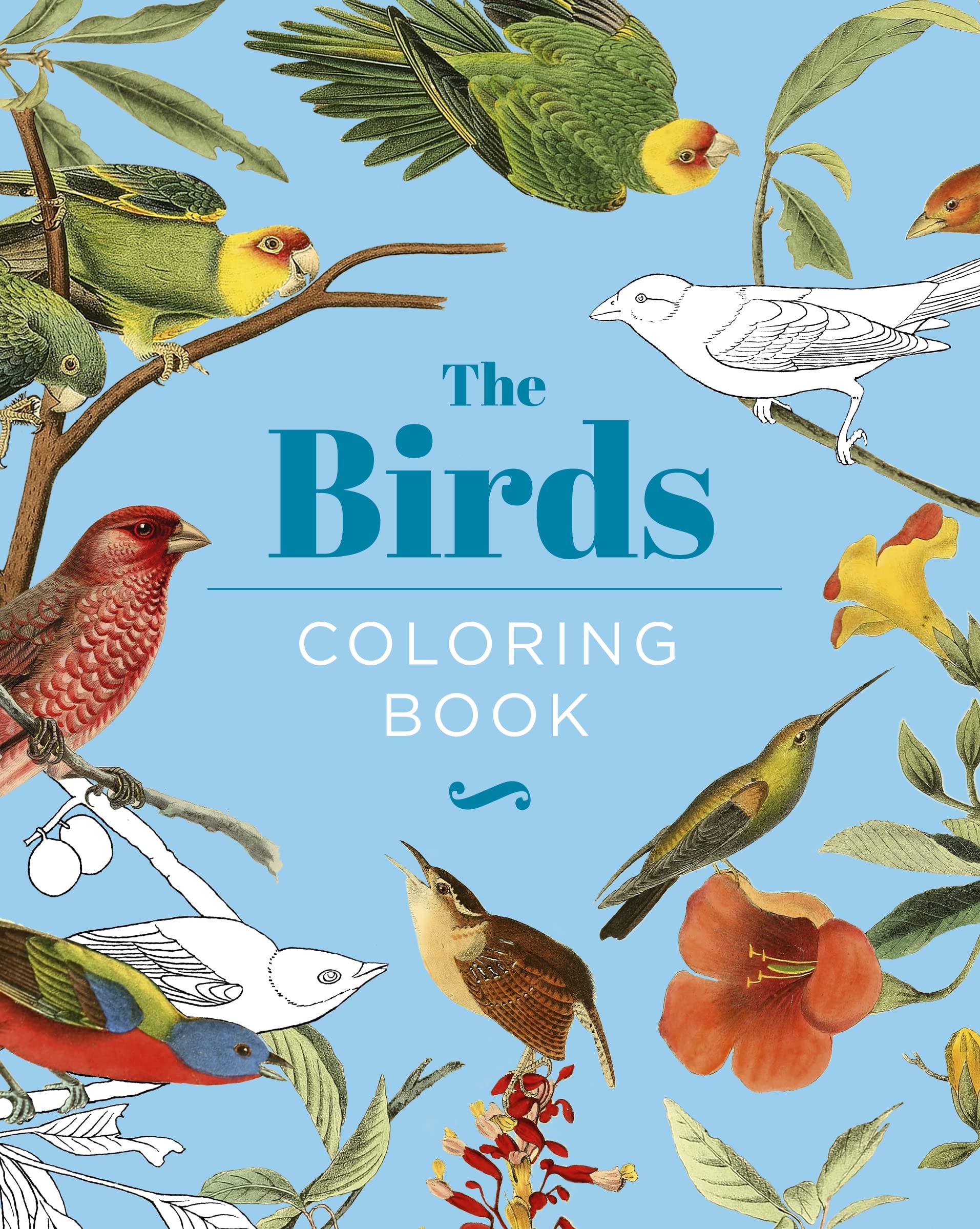 The Birds Coloring Book: Hardback Gift Edition (Sirius Creative Coloring),Used