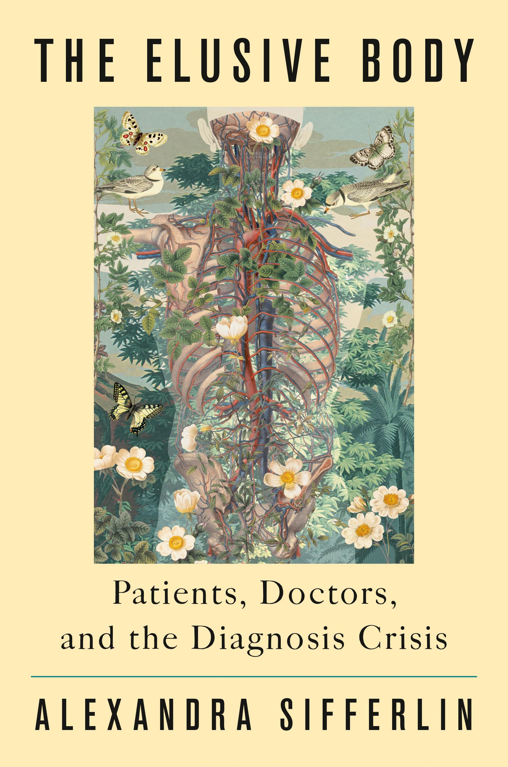 The Elusive Body: Patients, Doctors, And The Diagnosis Crisis