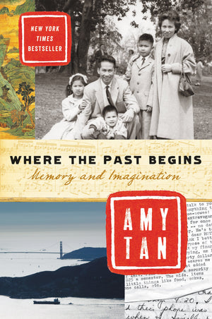 Where the Past Begins: Memory and Imagination,Used