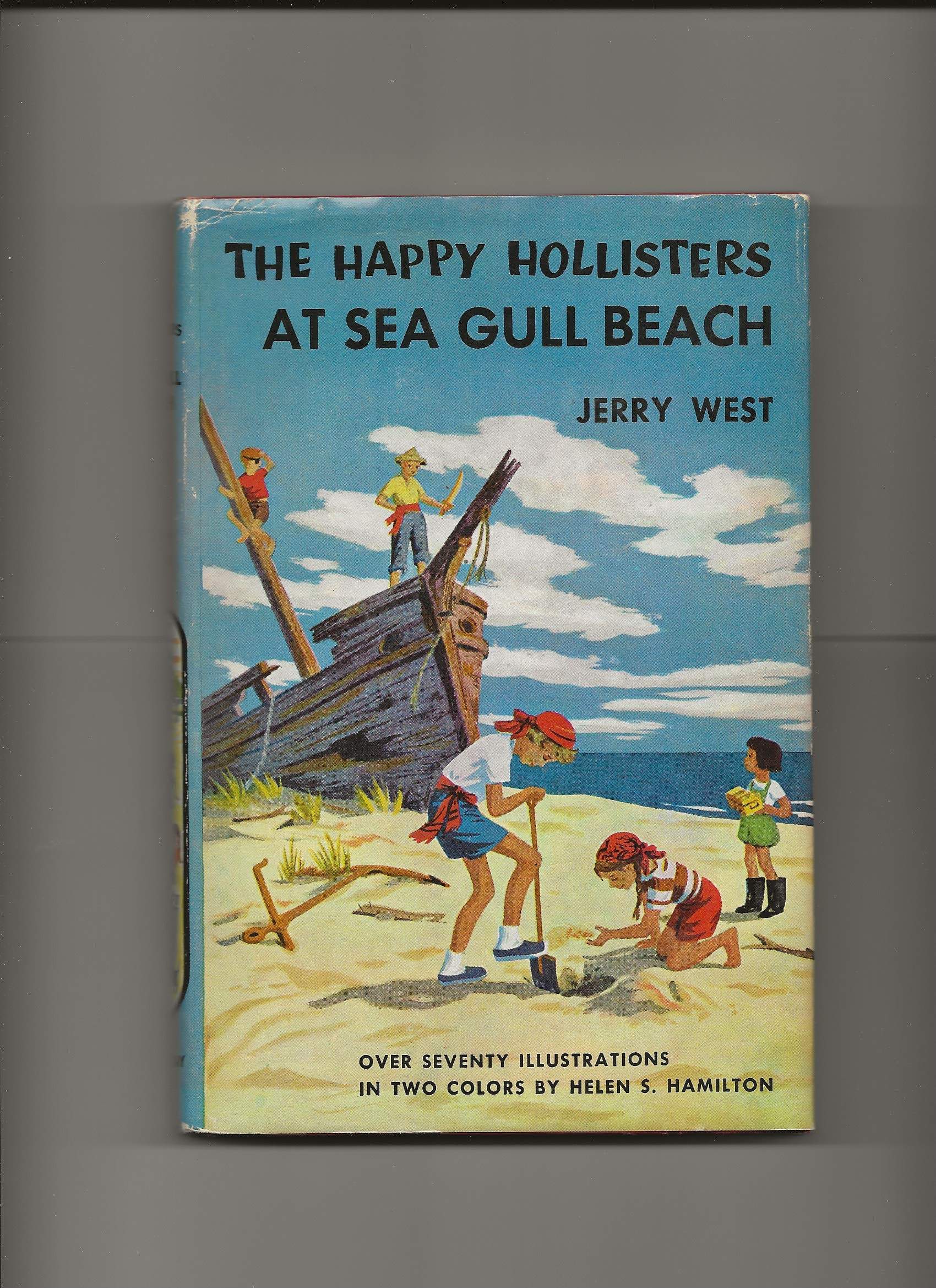 The Happy Hollisters at Sea Gull Beach,Used