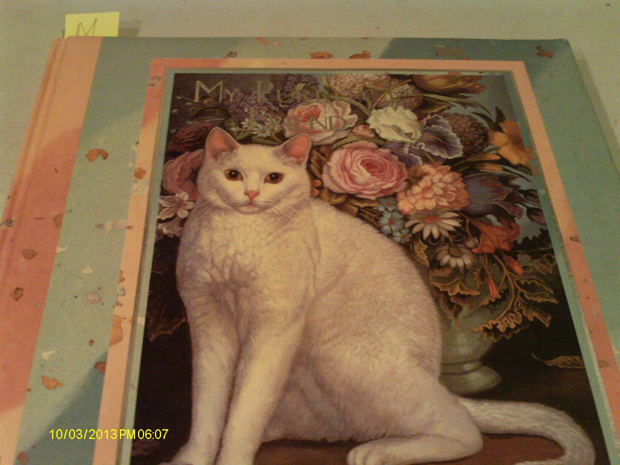 My Purrfect Friend with Frame,Used