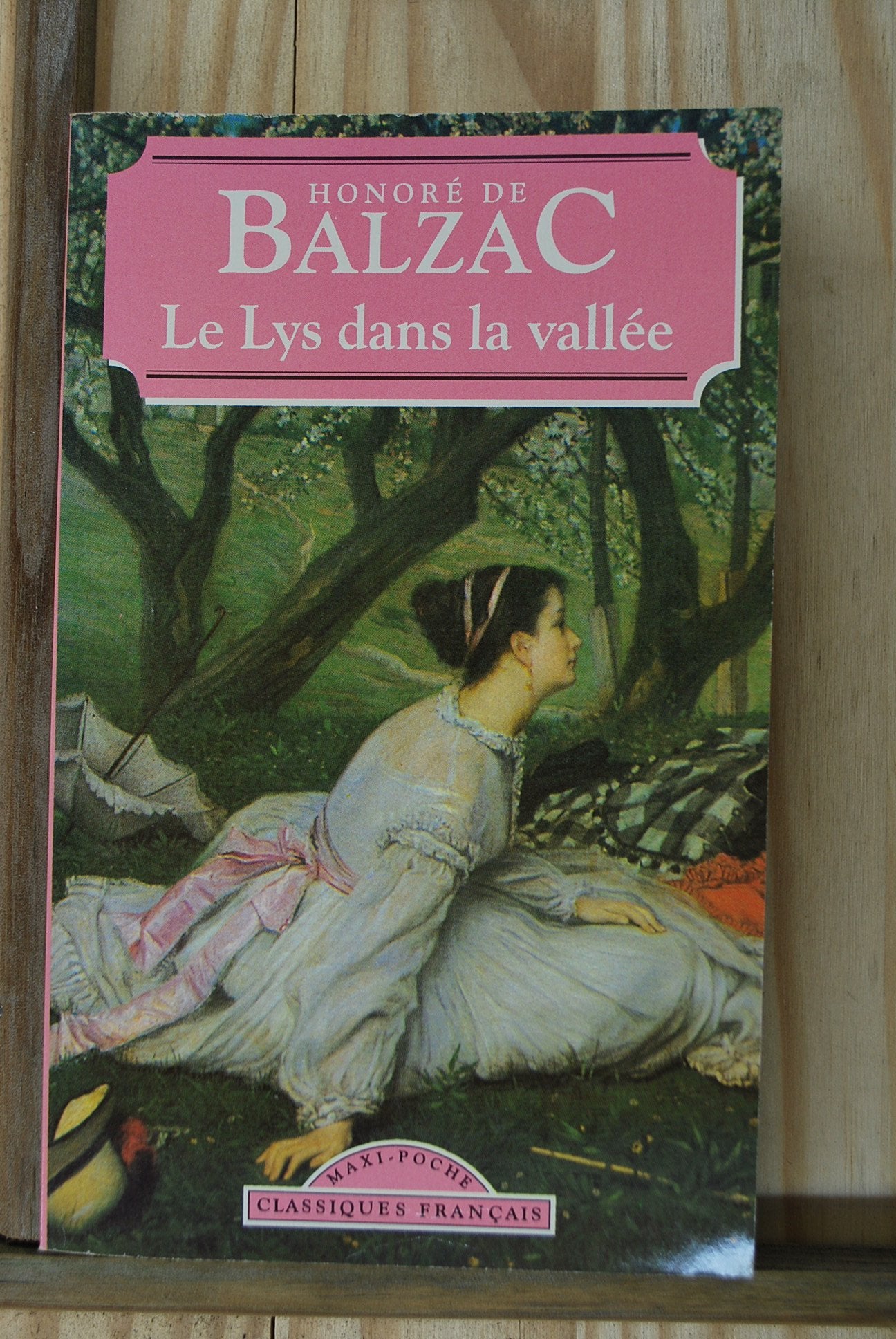 Le Lys Dans La Vallee (World Classics) (French Edition),Used