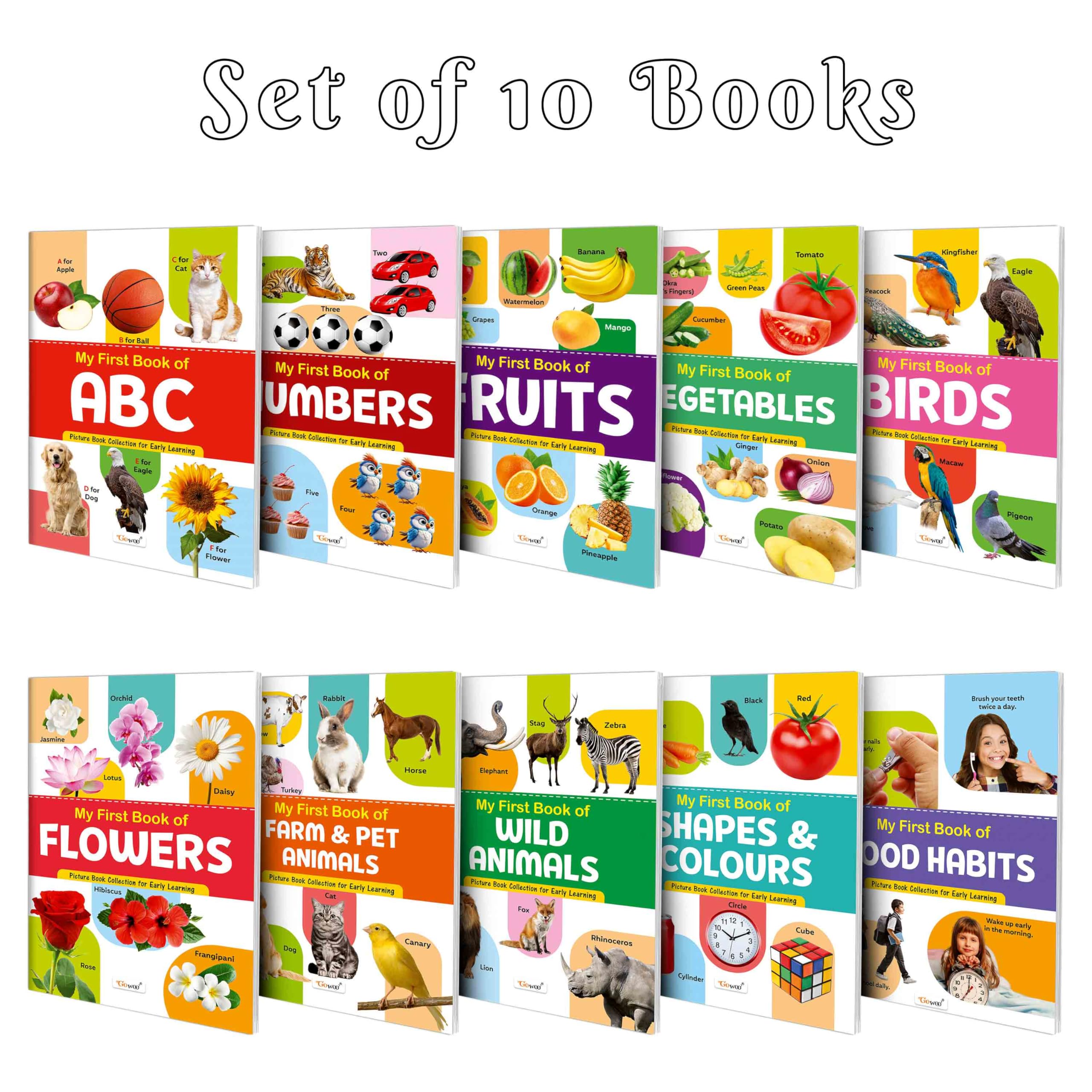 My First Picture Book Collection For Early Learning With 10 Topics (Waterproof, Dust-Resistant, Big Fonts, Laminated, Realistic Pictures) | Gift Set For Kids