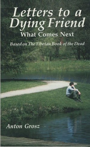Letters To A Dying Friend: Helping Those You Love Make A Conscious Transition (Quest Book),Used