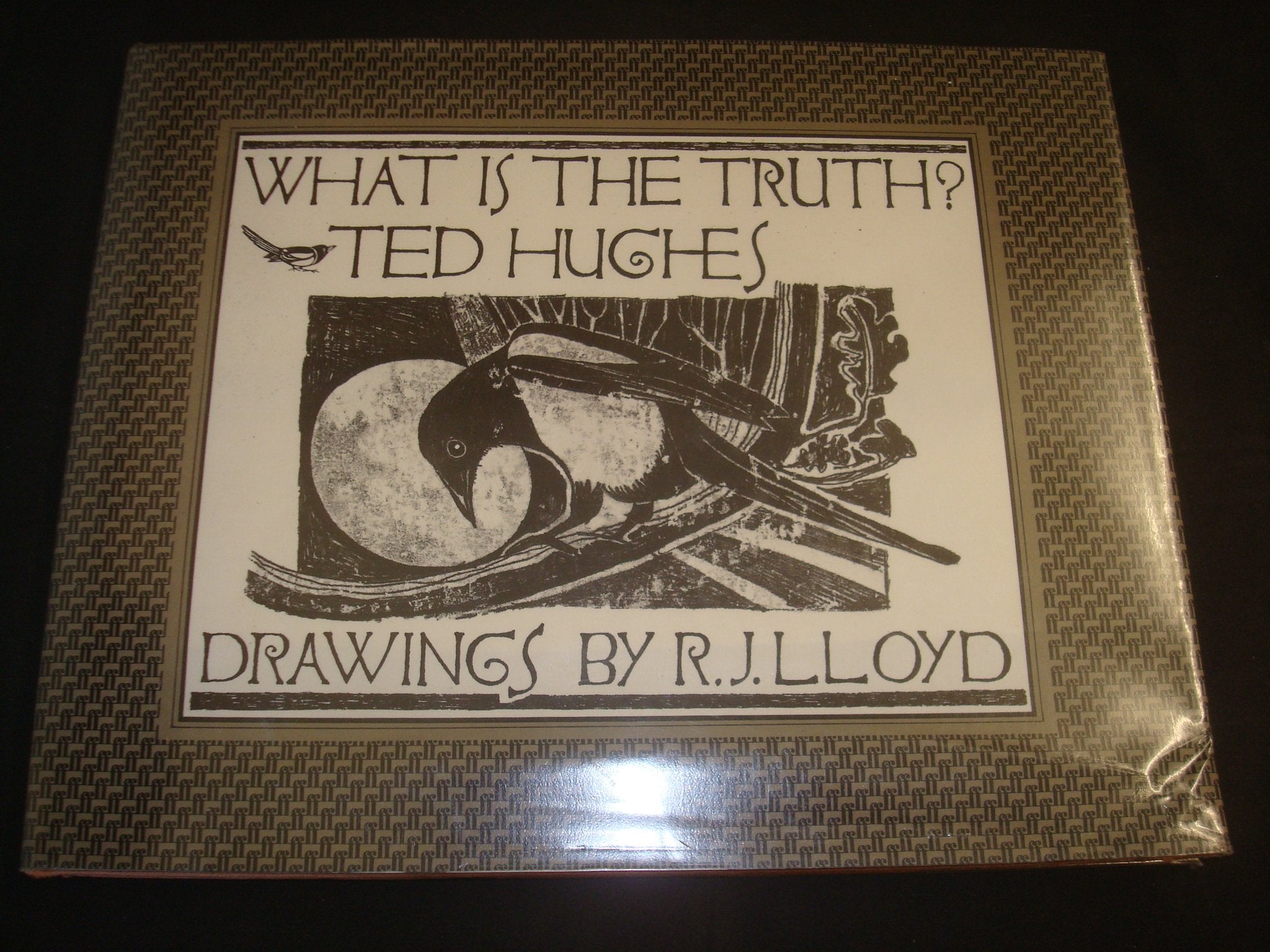 What is the truth?: A farmyard fable for the young,Used