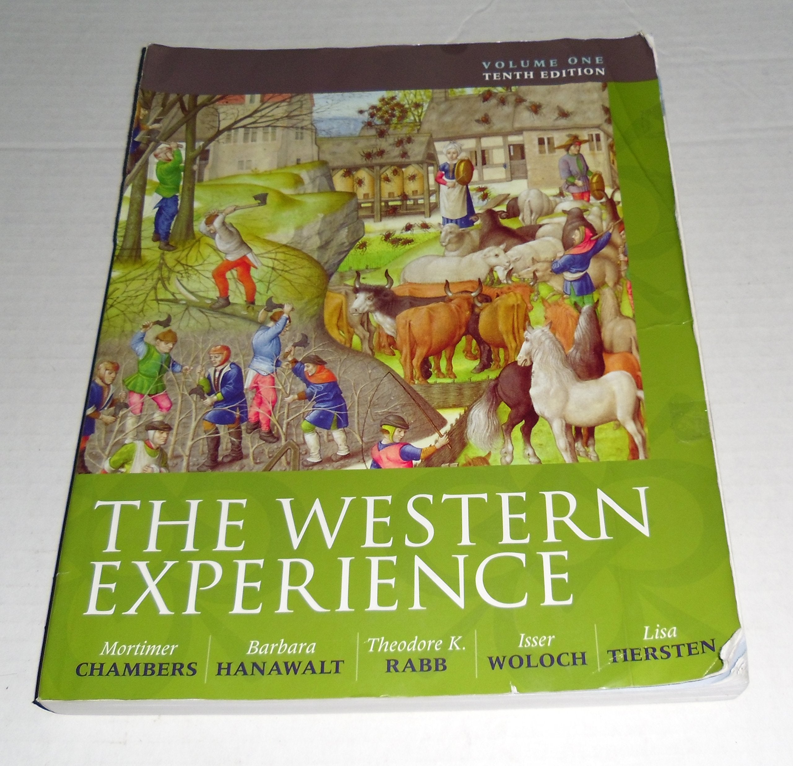 The Western Experience, Volume 1,Used