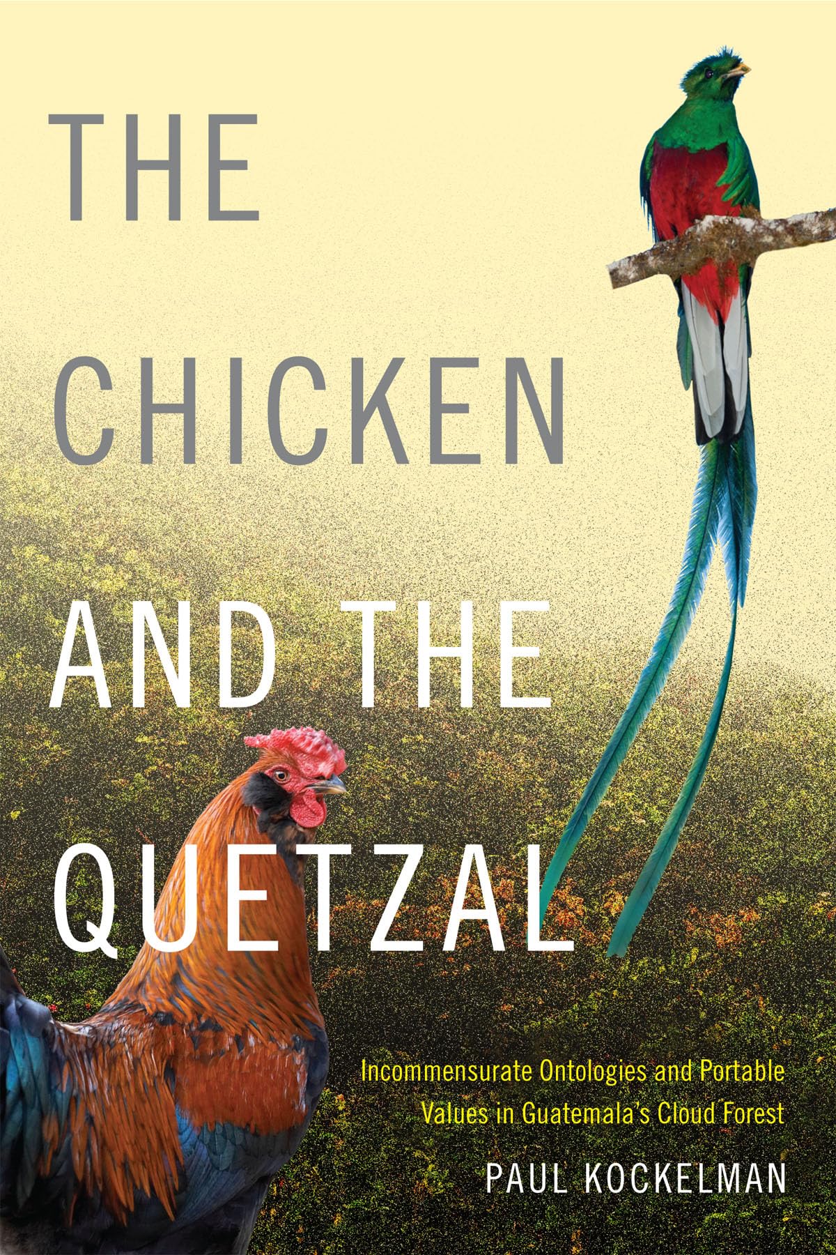 The Chicken And The Quetzal: Incommensurate Ontologies And Portable Values In Guatemala'S Cloud Forest,Used