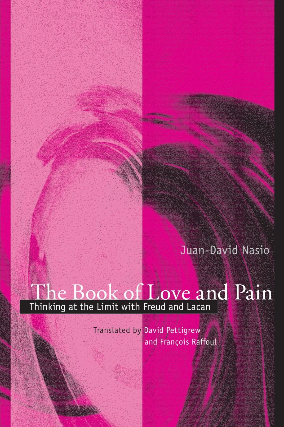 The Book Of Love And Pain: Thinking At The Limit With Freud And Lacan (Psychoanalysis And Culture),Used